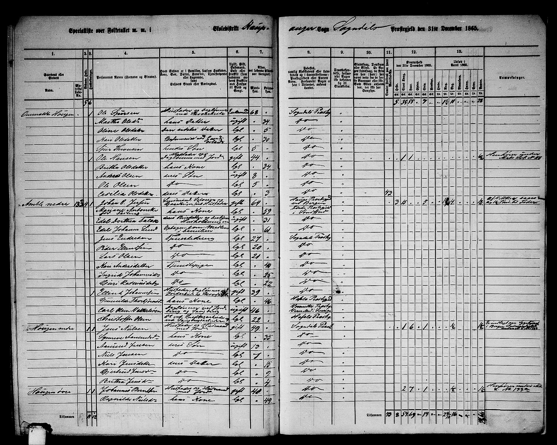 RA, 1865 census for Sogndal, 1865, p. 174