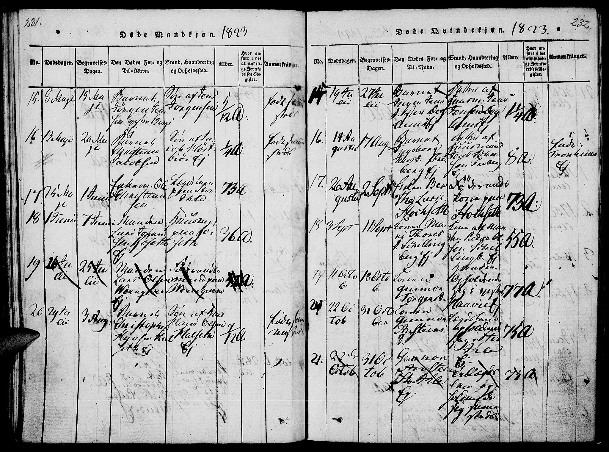 Vang prestekontor, Hedmark, AV/SAH-PREST-008/H/Ha/Haa/L0008: Parish register (official) no. 8, 1815-1826, p. 231-232