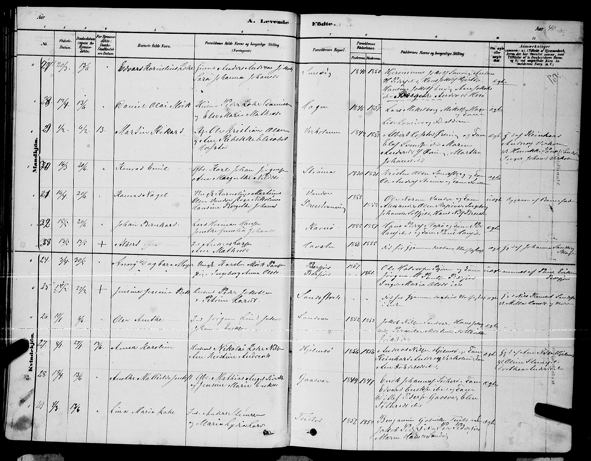 Ministerialprotokoller, klokkerbøker og fødselsregistre - Nordland, AV/SAT-A-1459/834/L0513: Parish register (copy) no. 834C04, 1877-1892, p. 40