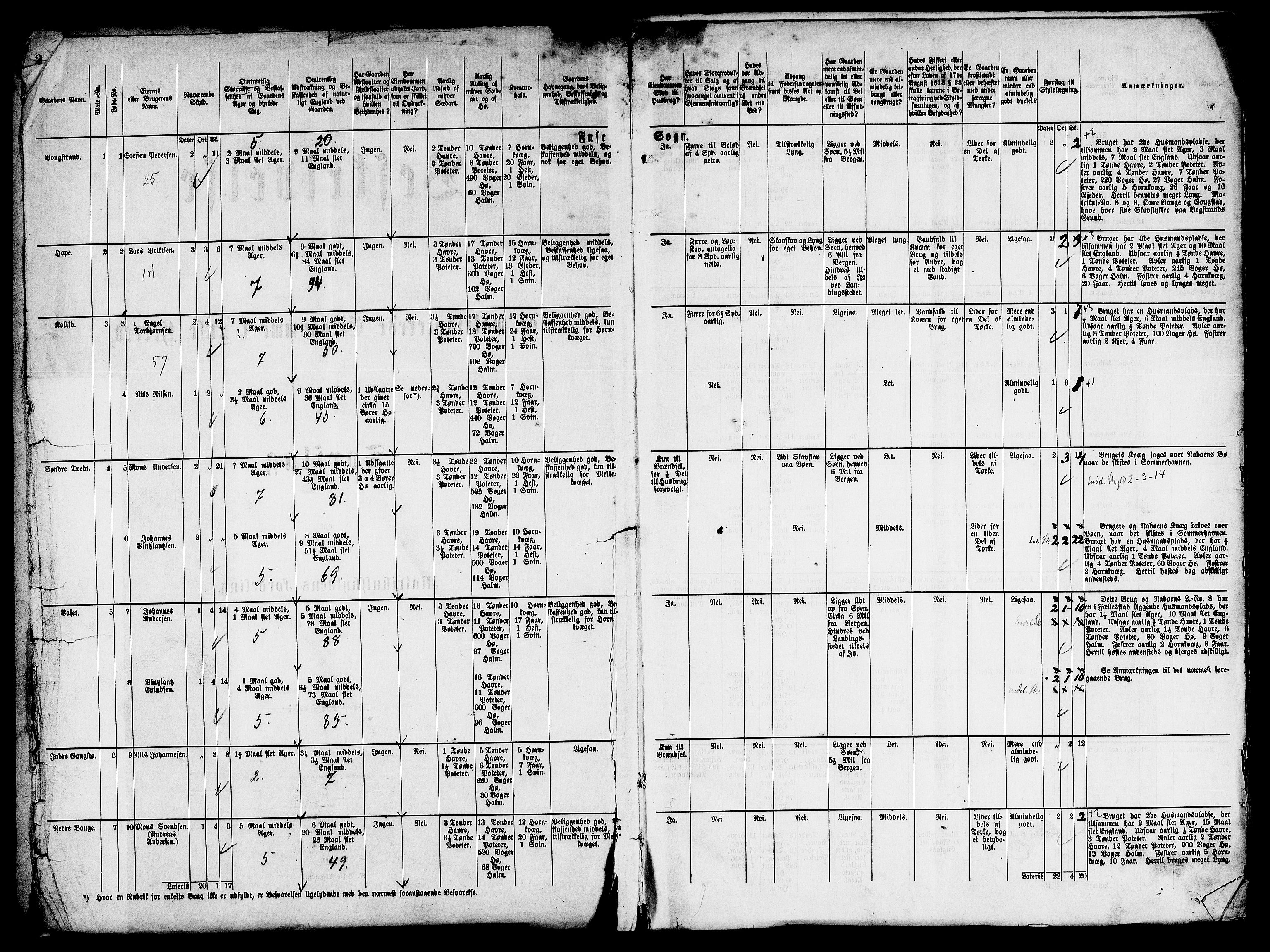 Matrikkelrevisjonen av 1863, AV/RA-S-1530/F/Fe/L0232: Fusa (Hålandsdalen, Strandvik), 1863