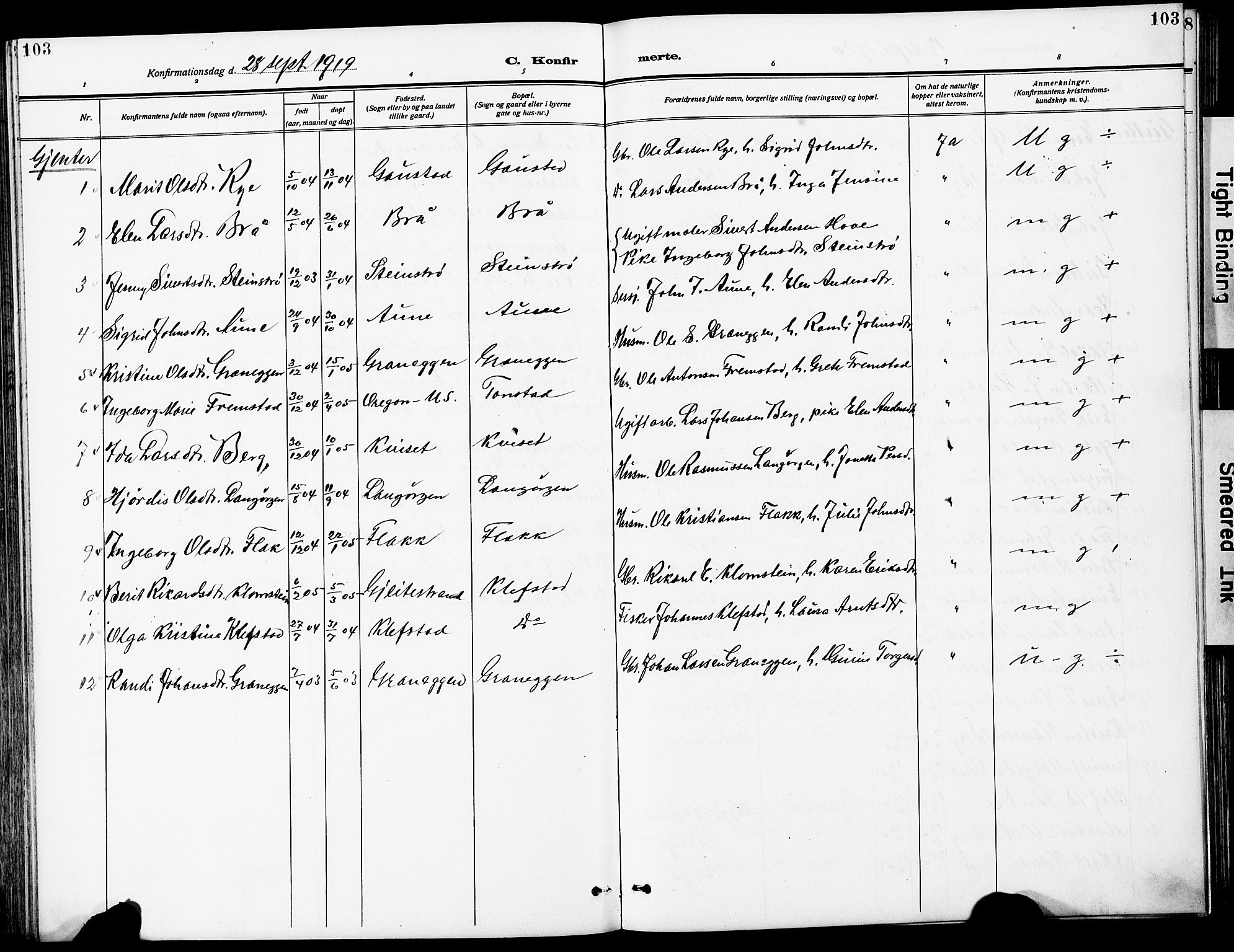 Ministerialprotokoller, klokkerbøker og fødselsregistre - Sør-Trøndelag, SAT/A-1456/612/L0388: Parish register (copy) no. 612C04, 1909-1929, p. 103
