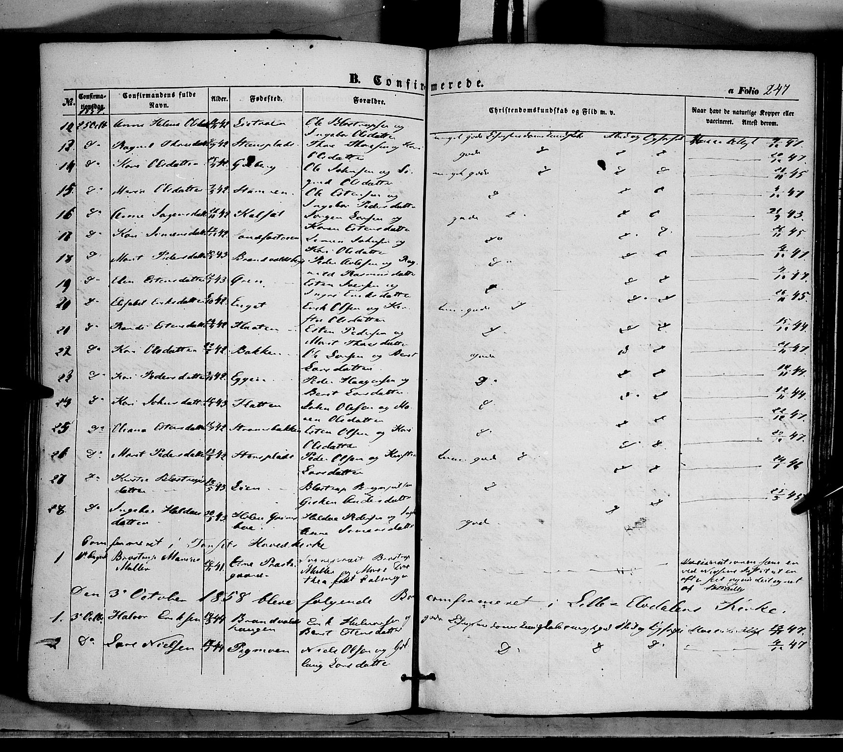 Tynset prestekontor, SAH/PREST-058/H/Ha/Haa/L0020: Parish register (official) no. 20, 1848-1862, p. 247