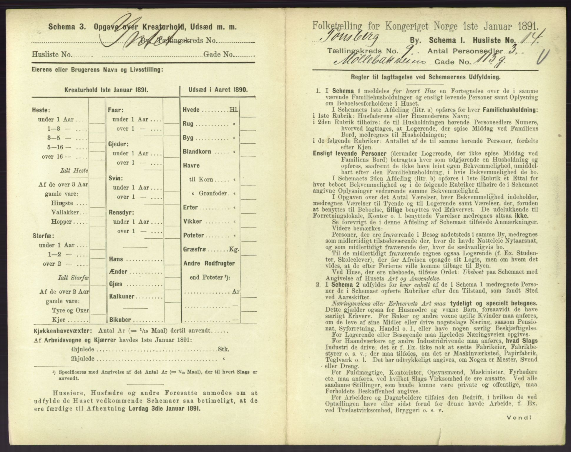 RA, 1891 census for 0705 Tønsberg, 1891, p. 388