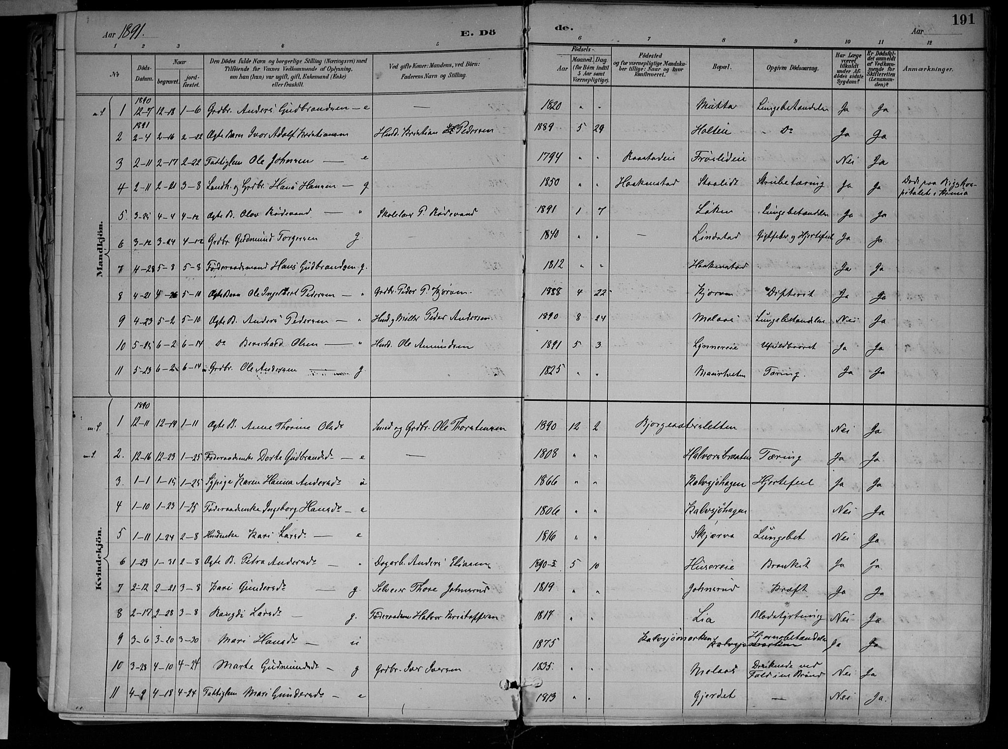 Jevnaker prestekontor, SAH/PREST-116/H/Ha/Haa/L0010: Parish register (official) no. 10, 1891-1906, p. 191