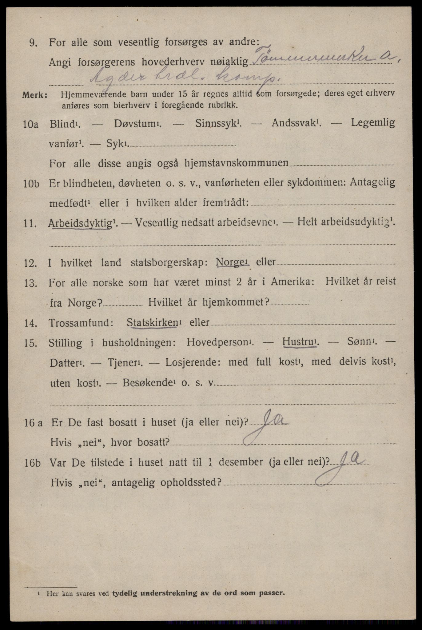 SAKO, 1920 census for Nissedal, 1920, p. 3042