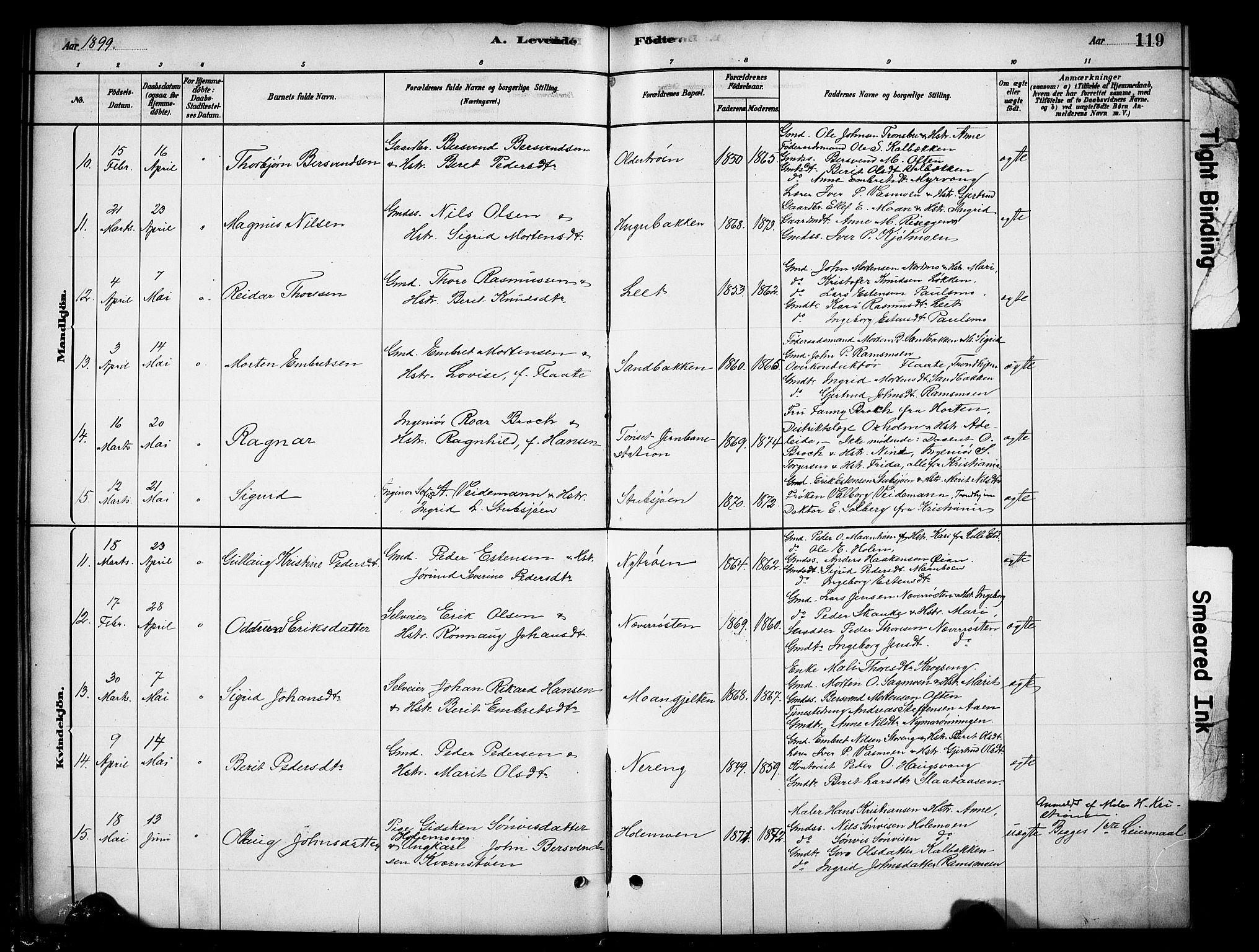 Tynset prestekontor, SAH/PREST-058/H/Ha/Hab/L0006: Parish register (copy) no. 6, 1880-1899, p. 119
