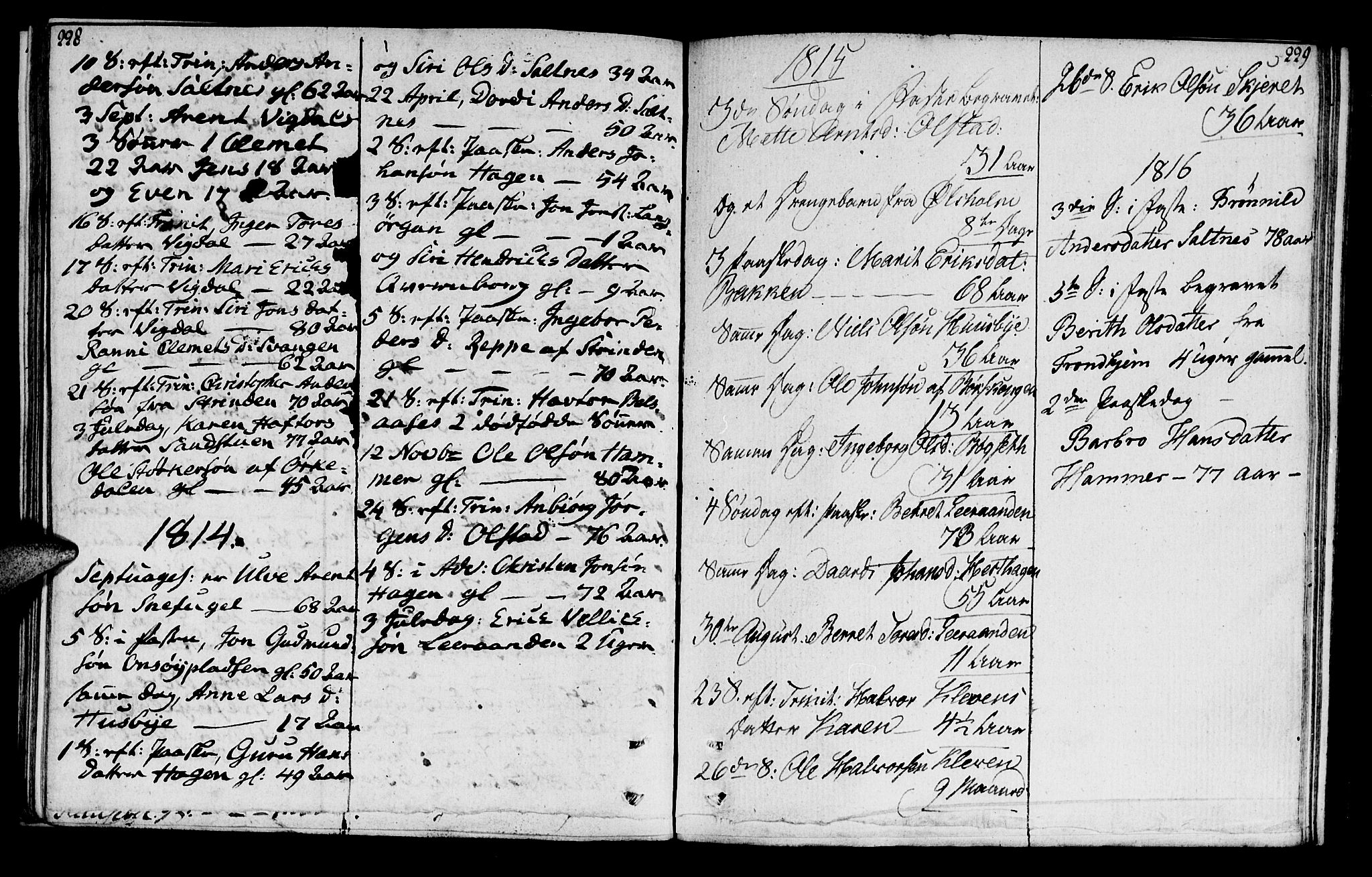 Ministerialprotokoller, klokkerbøker og fødselsregistre - Sør-Trøndelag, AV/SAT-A-1456/666/L0785: Parish register (official) no. 666A03, 1803-1816, p. 228-229