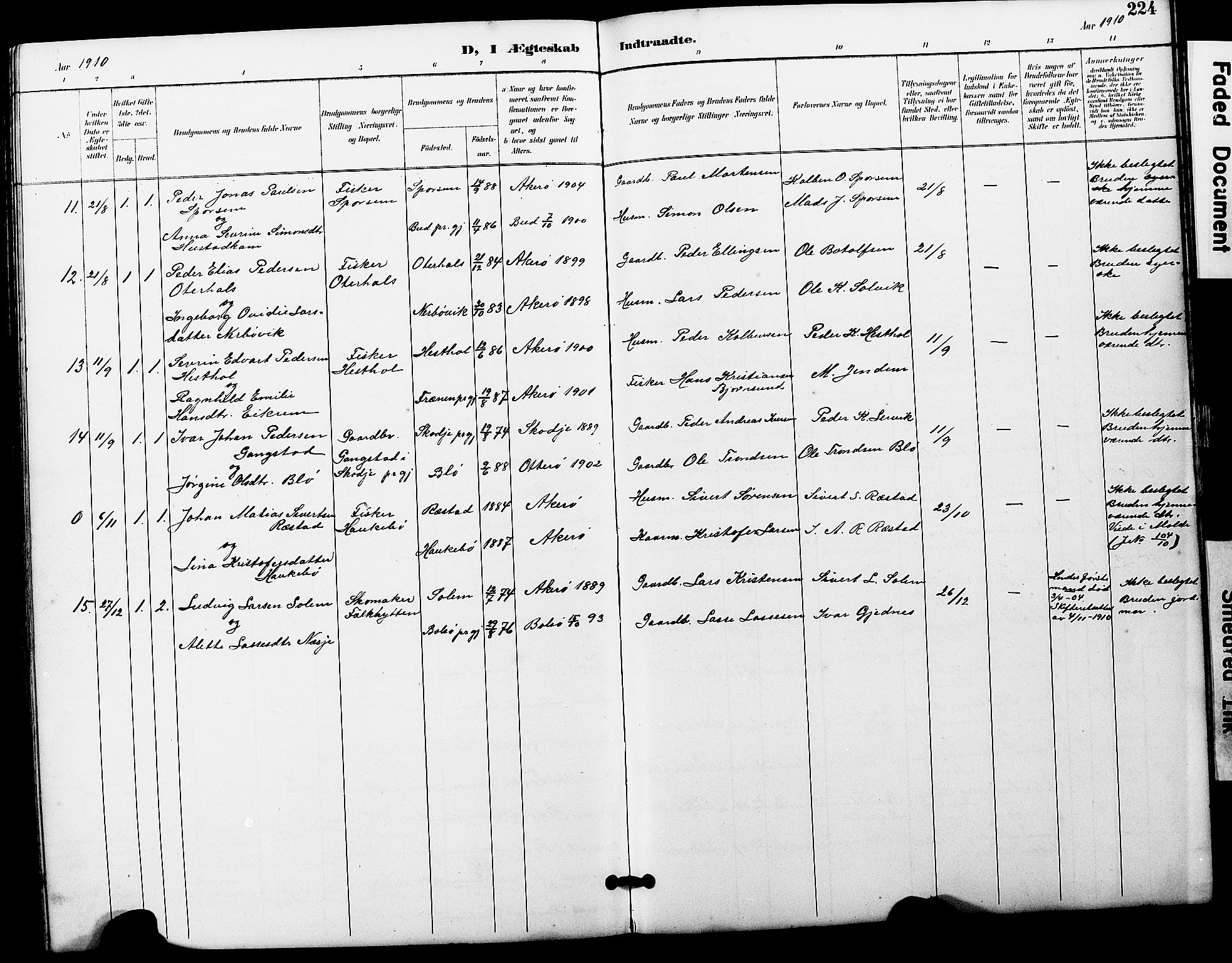 Ministerialprotokoller, klokkerbøker og fødselsregistre - Møre og Romsdal, AV/SAT-A-1454/560/L0725: Parish register (copy) no. 560C02, 1895-1930, p. 224