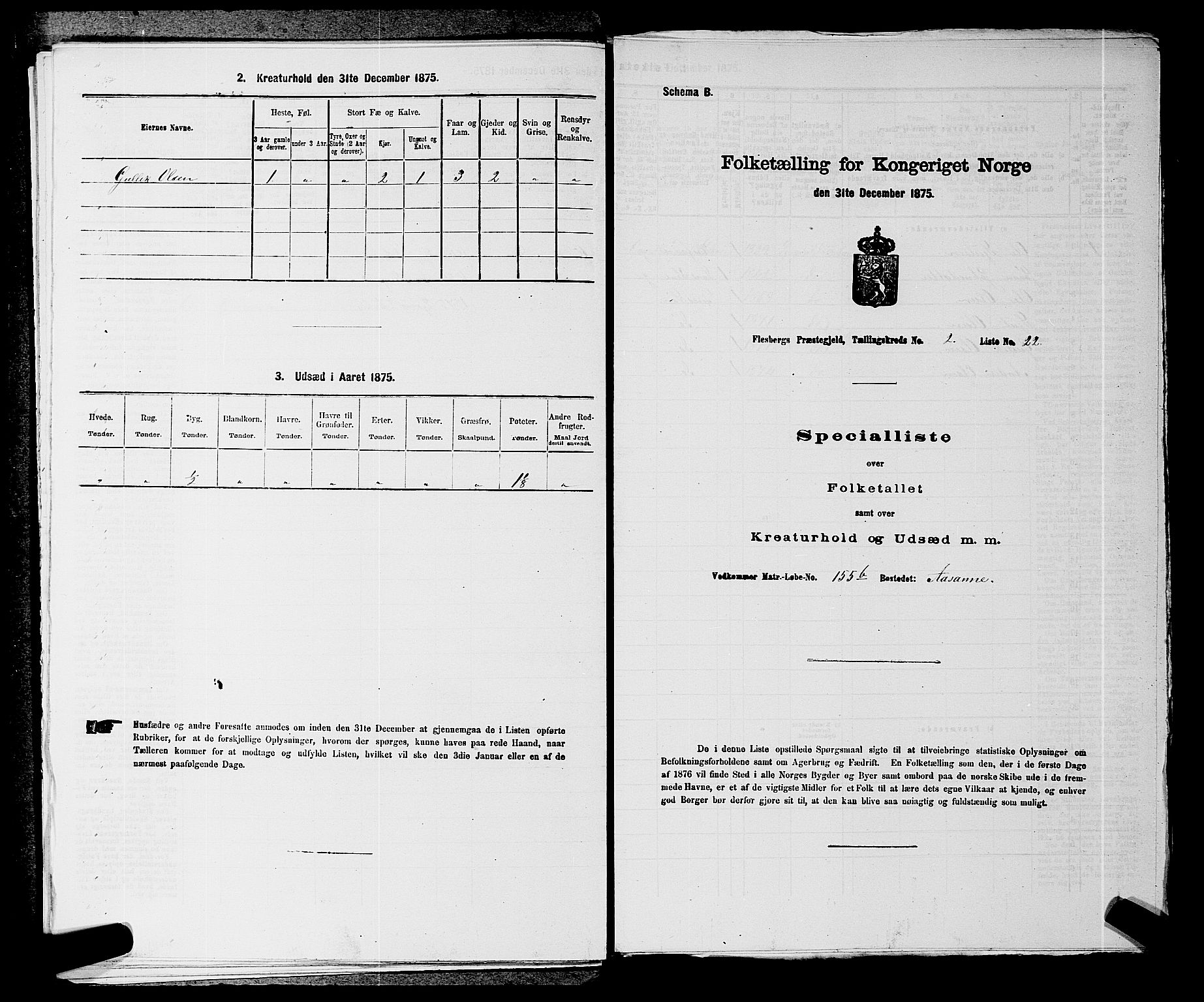 SAKO, 1875 census for 0631P Flesberg, 1875, p. 523