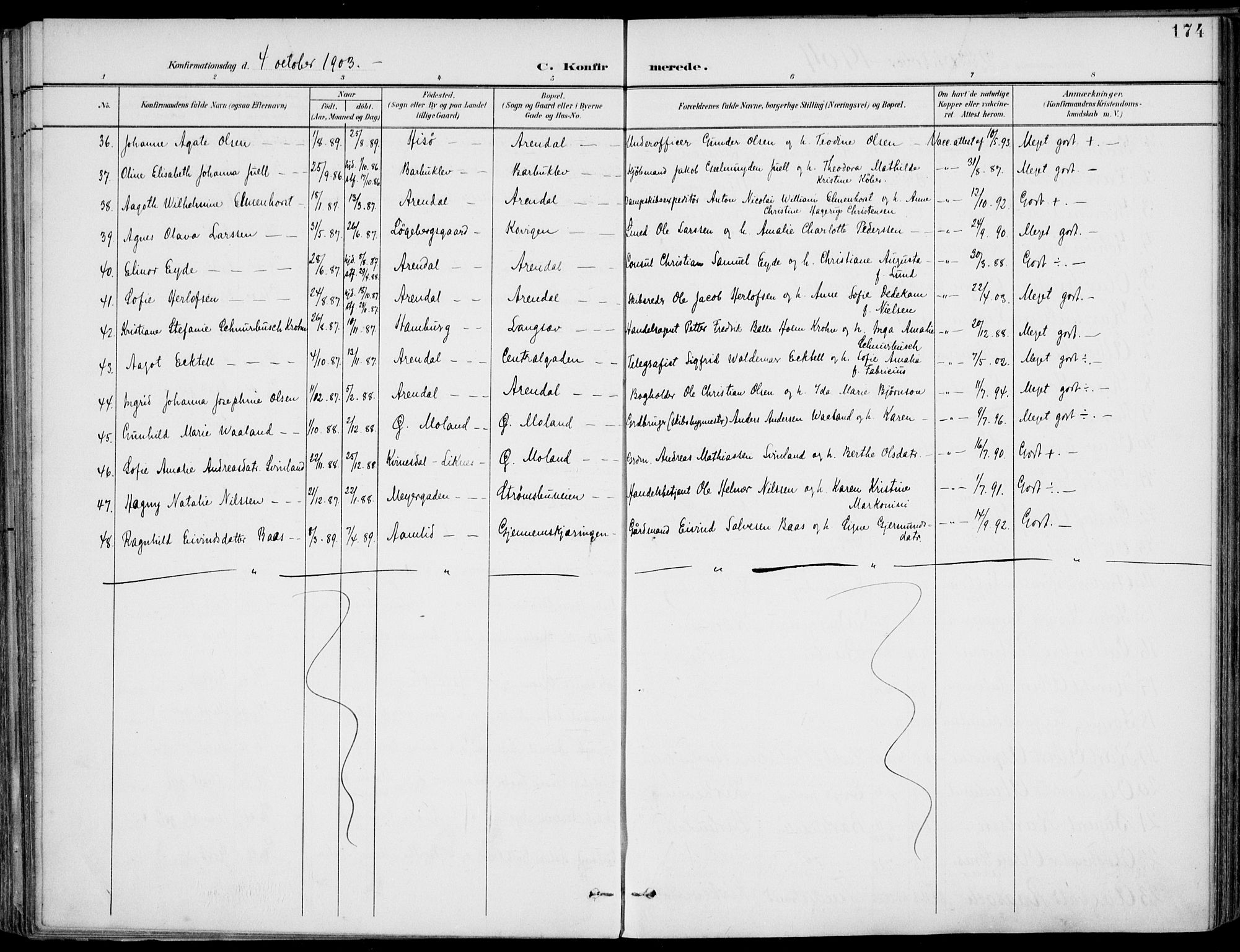 Barbu sokneprestkontor, AV/SAK-1111-0003/F/Fa/L0005: Parish register (official) no. A 5, 1899-1909, p. 174