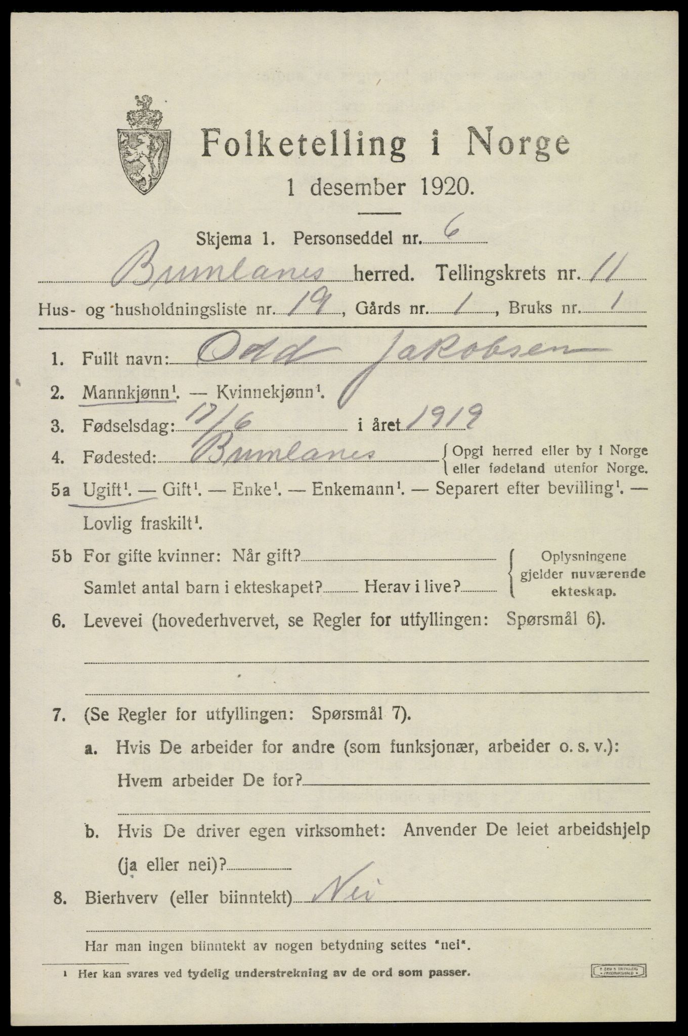 SAKO, 1920 census for Brunlanes, 1920, p. 9753