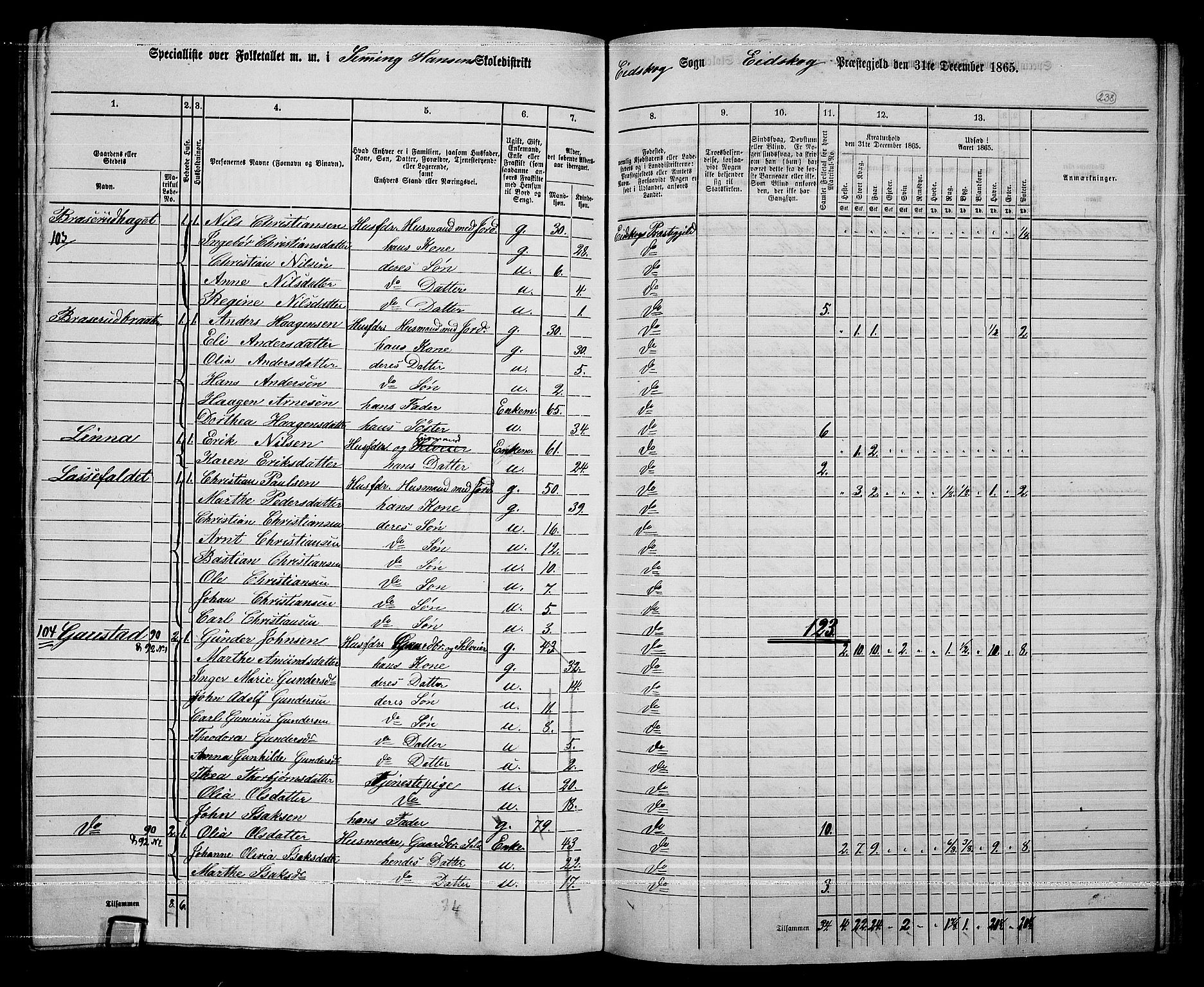RA, 1865 census for Eidskog, 1865, p. 214