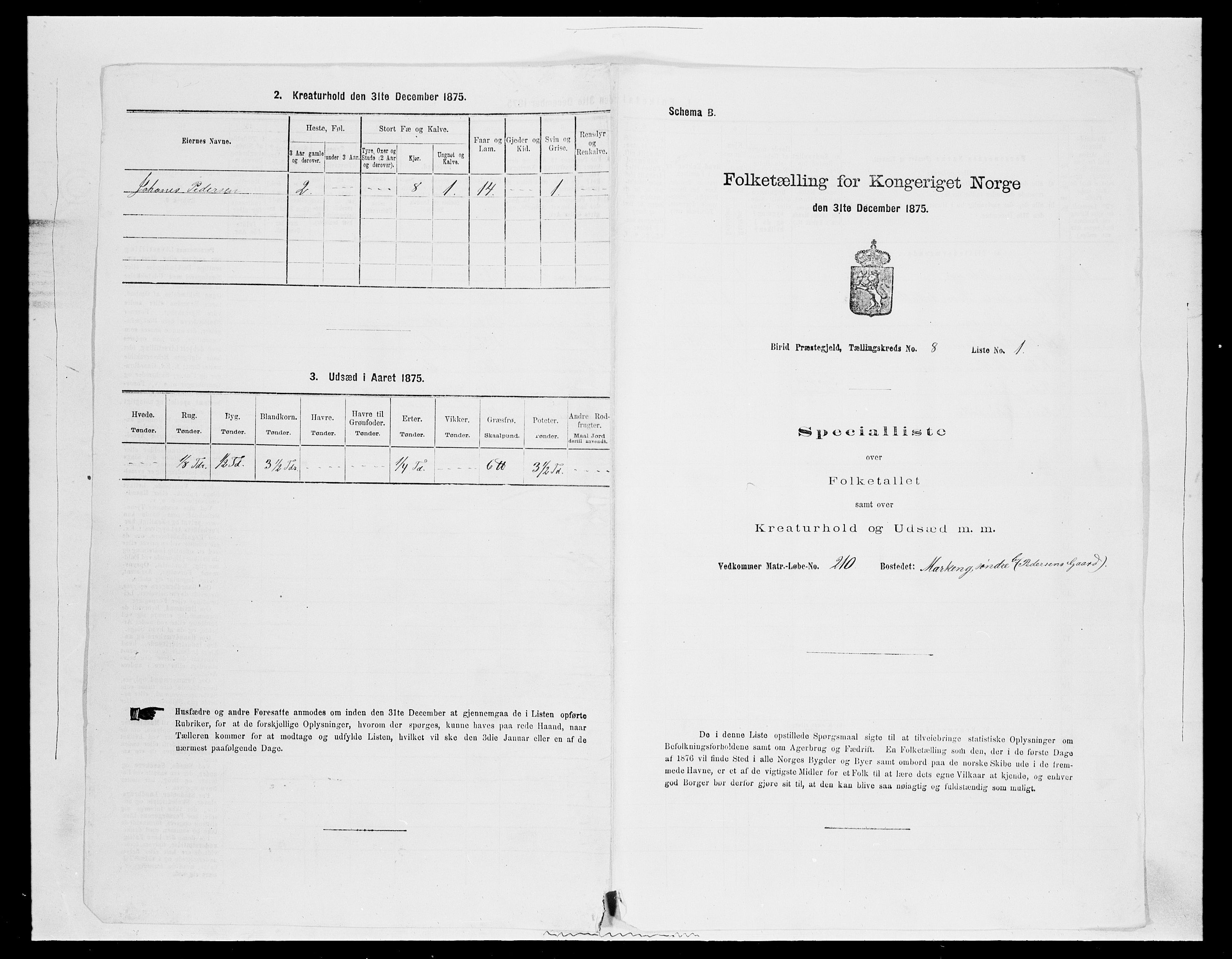 SAH, 1875 census for 0525P Biri, 1875, p. 1509