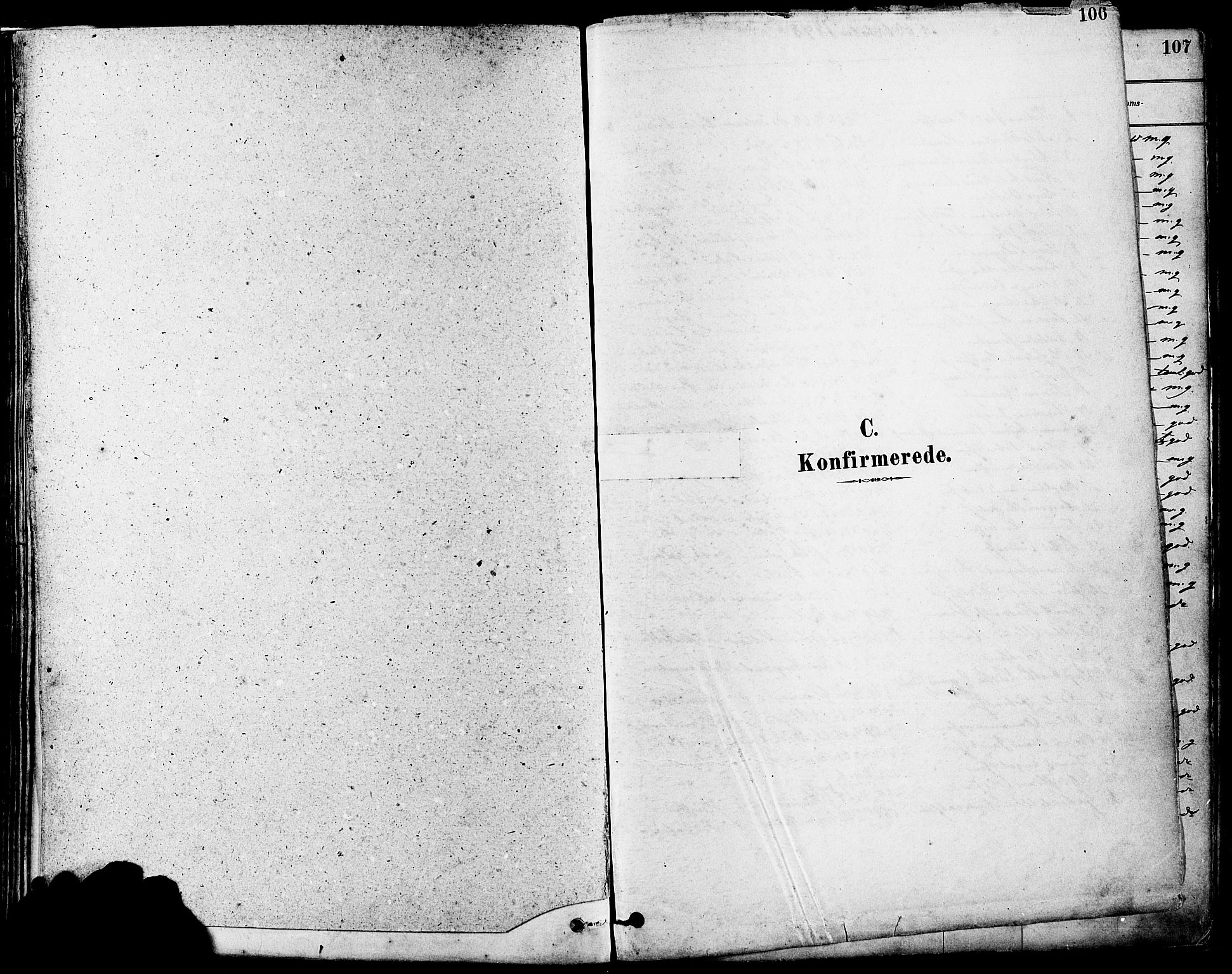 Høyland sokneprestkontor, SAST/A-101799/001/30BA/L0011: Parish register (official) no. A 10, 1878-1888, p. 106