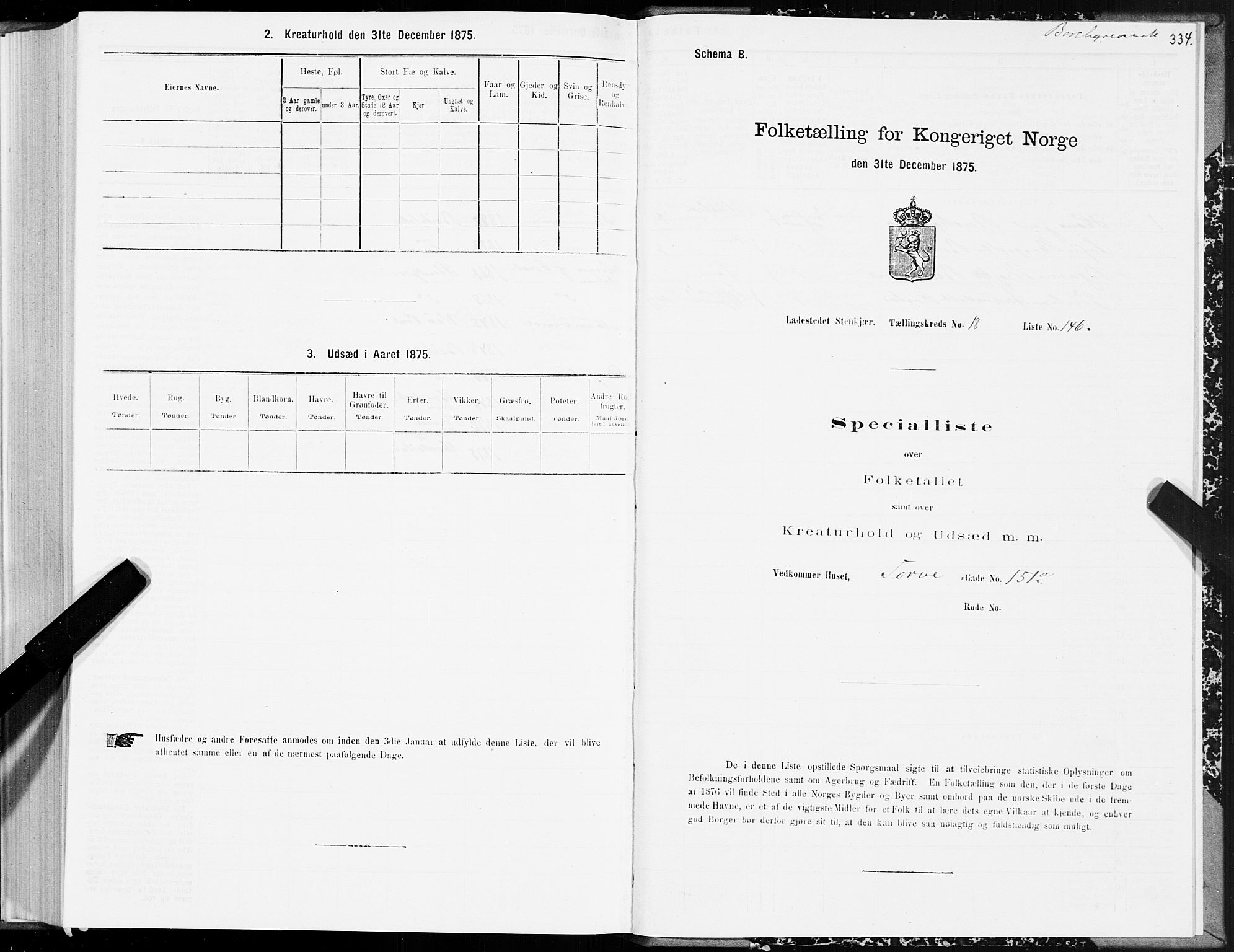 SAT, 1875 census for 1702B Steinkjer/Steinkjer, 1875, p. 334