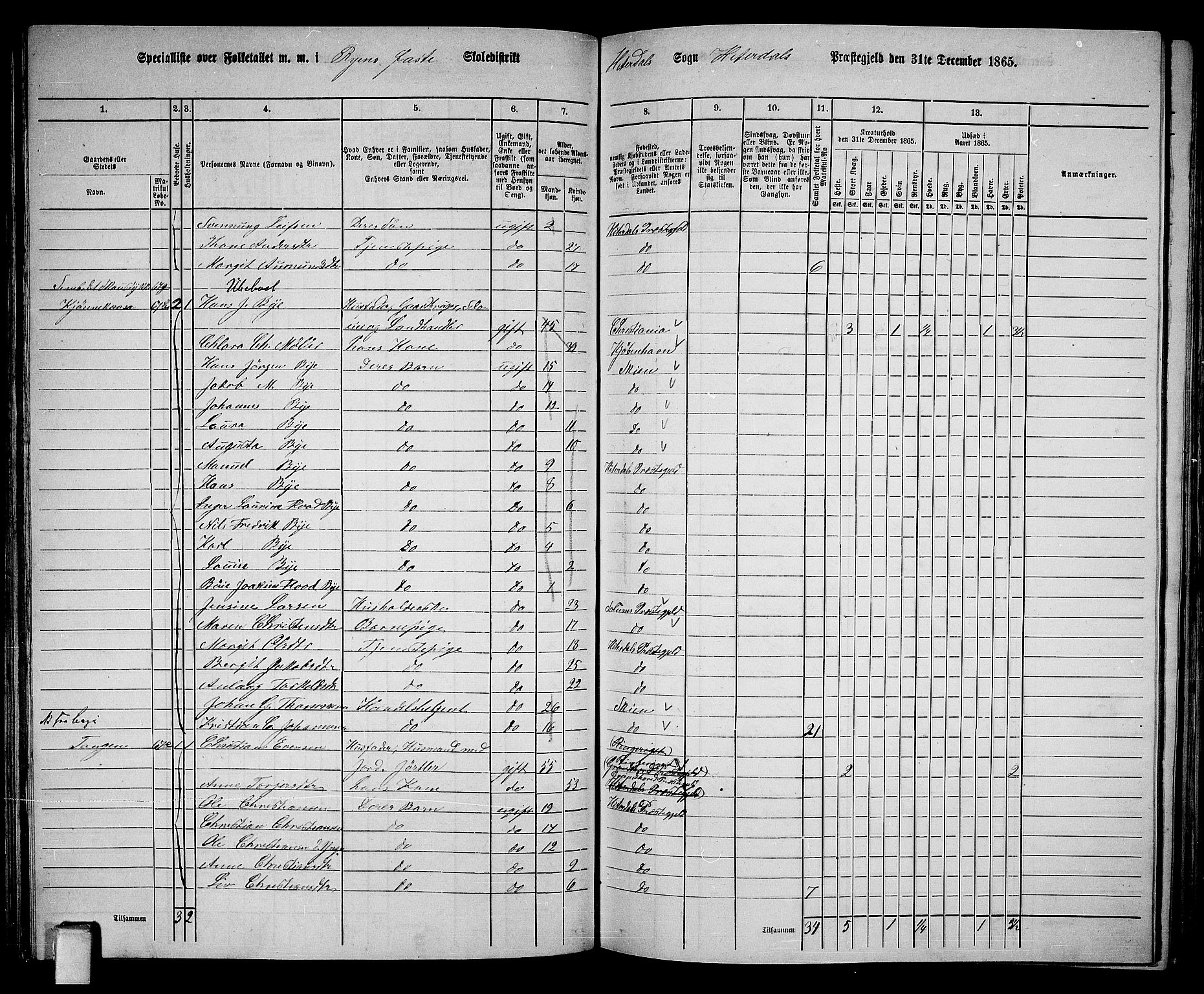 RA, 1865 census for Heddal, 1865, p. 61