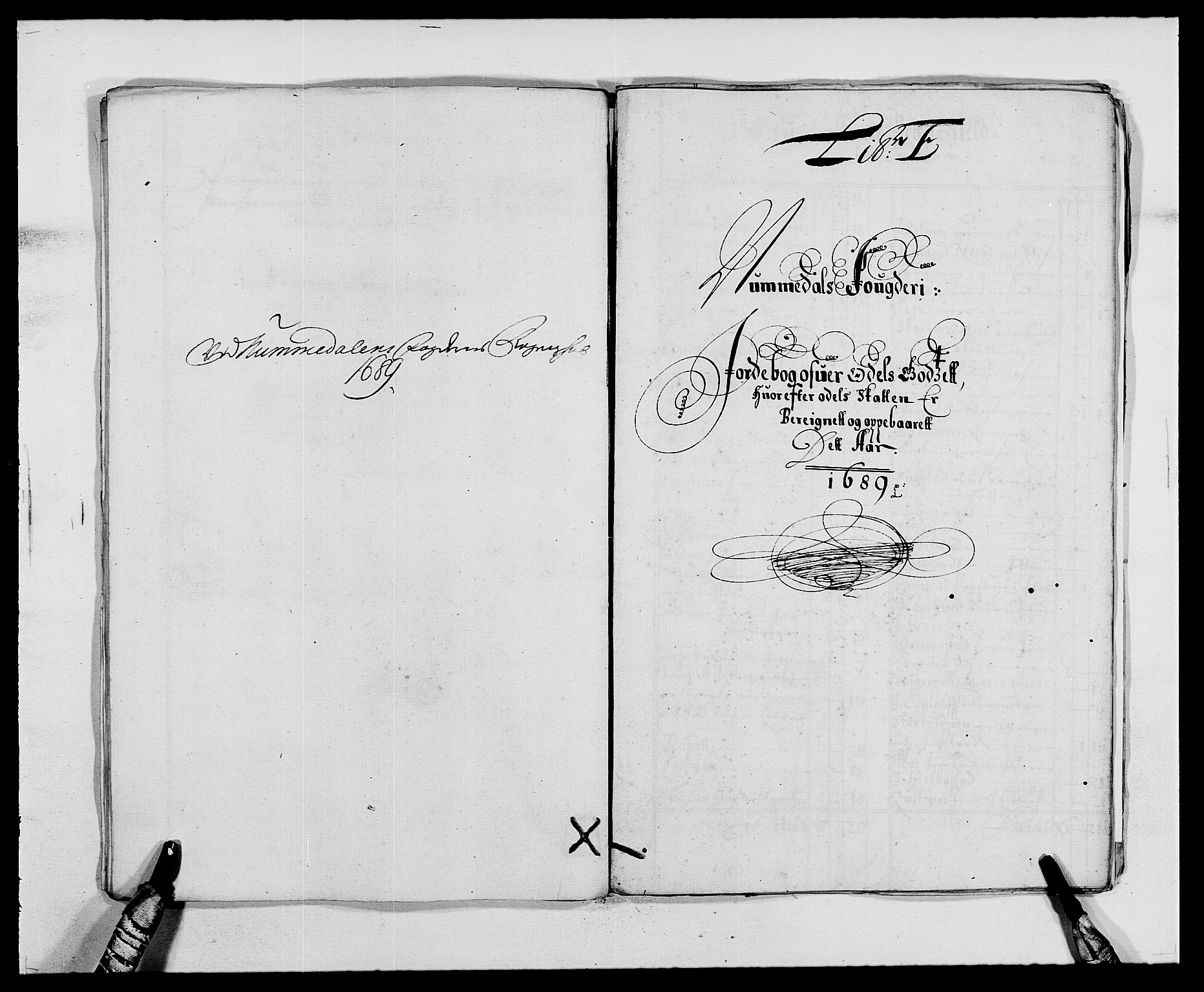 Rentekammeret inntil 1814, Reviderte regnskaper, Fogderegnskap, AV/RA-EA-4092/R64/L4422: Fogderegnskap Namdal, 1687-1689, p. 220