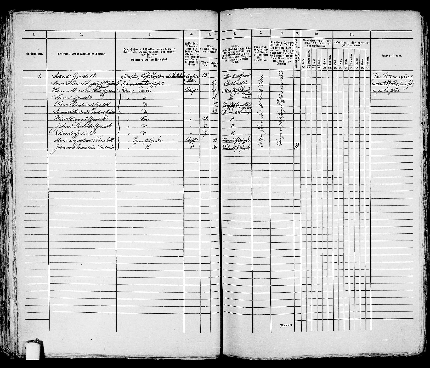 RA, 1865 census for Stavanger, 1865, p. 1078