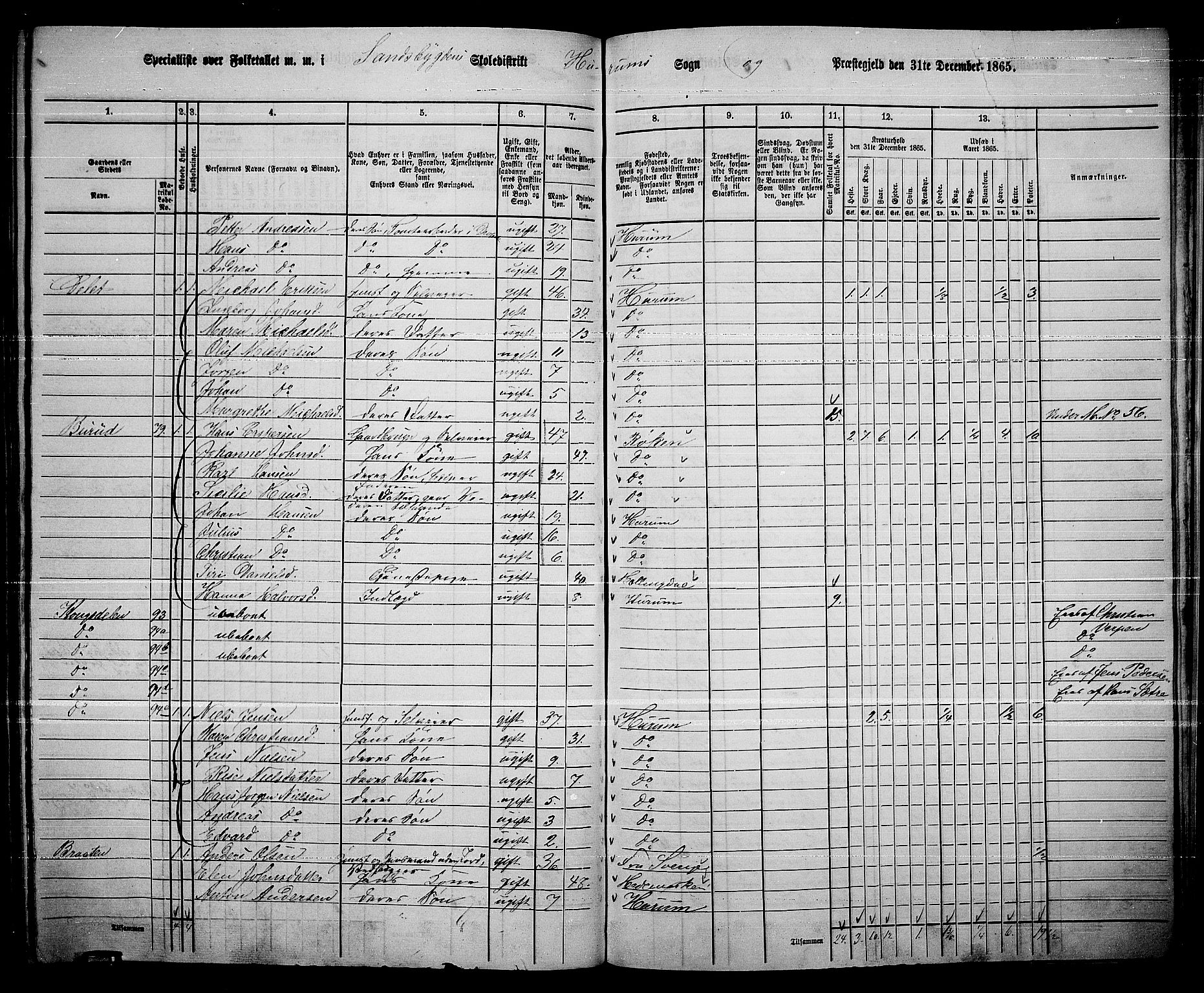 RA, 1865 census for Hurum, 1865, p. 97