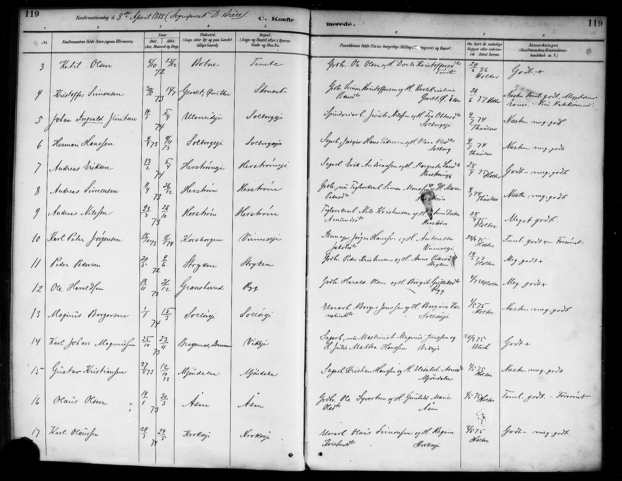 Nedre Eiker kirkebøker, AV/SAKO-A-612/F/Fa/L0003: Parish register (official) no. 3, 1885-1892, p. 119