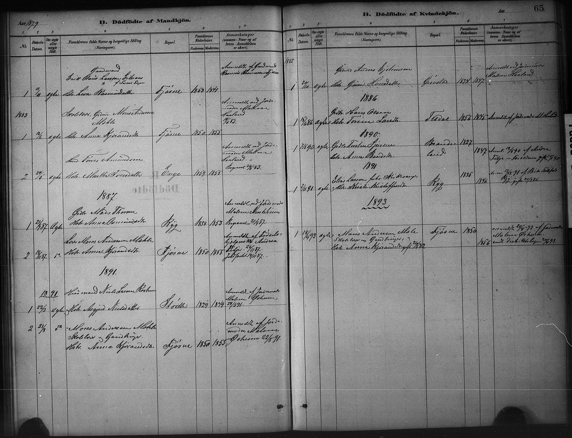 Etne sokneprestembete, SAB/A-75001/H/Hab: Parish register (copy) no. A 5, 1879-1896, p. 65