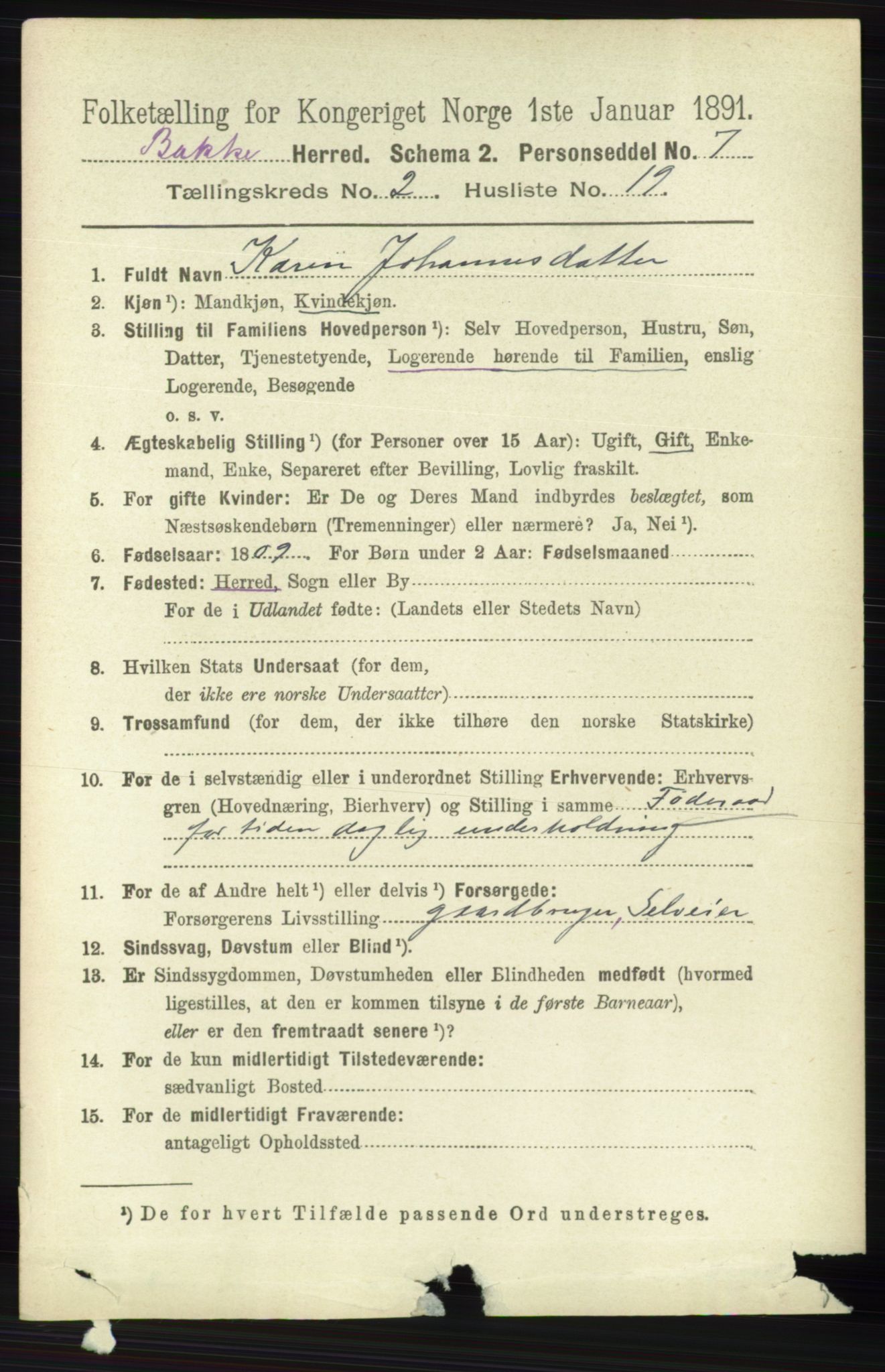 RA, 1891 census for 1045 Bakke, 1891, p. 386