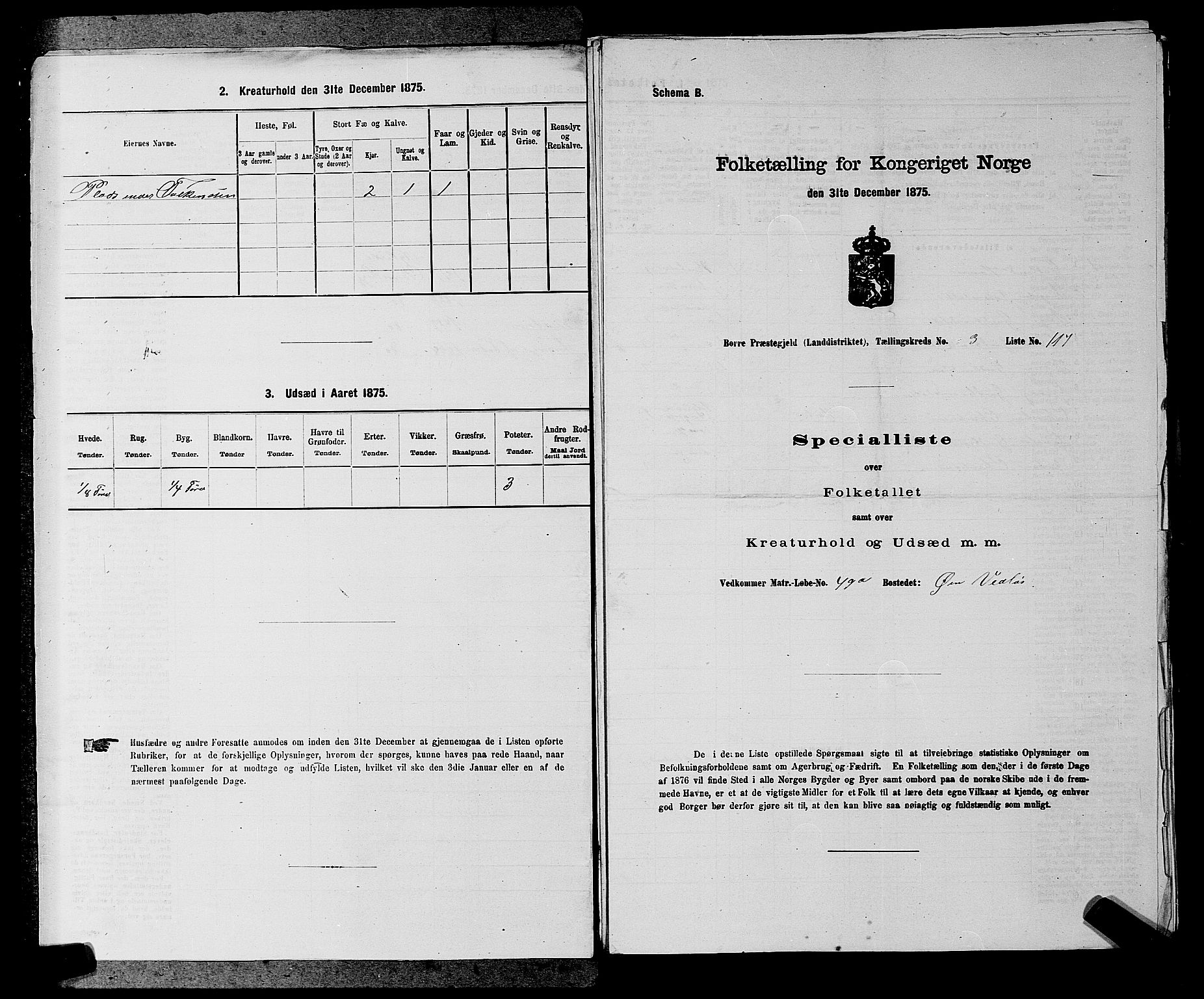 SAKO, 1875 census for 0717L Borre/Borre og Nykirke, 1875, p. 507