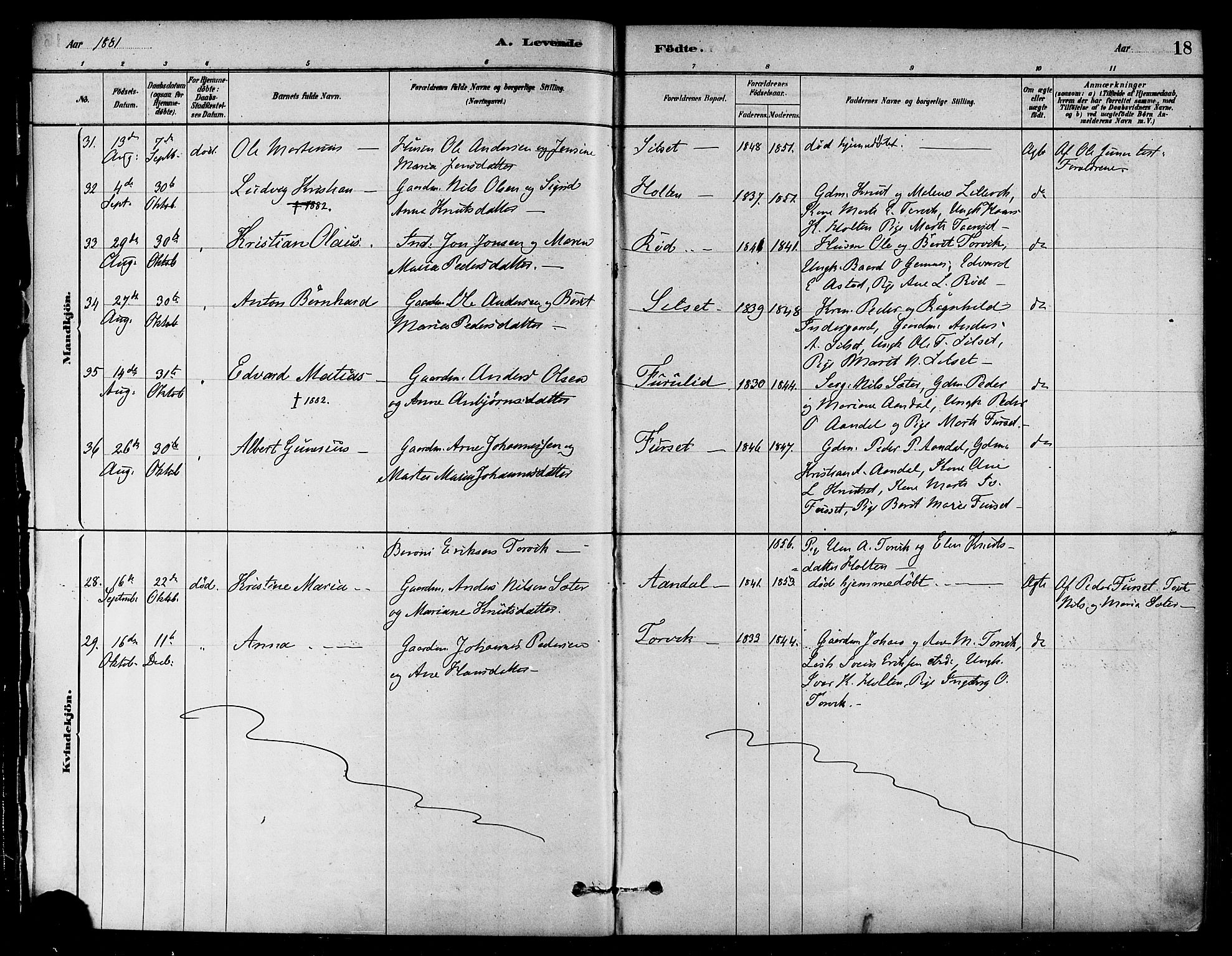 Ministerialprotokoller, klokkerbøker og fødselsregistre - Møre og Romsdal, AV/SAT-A-1454/584/L0967: Parish register (official) no. 584A07, 1879-1894, p. 18