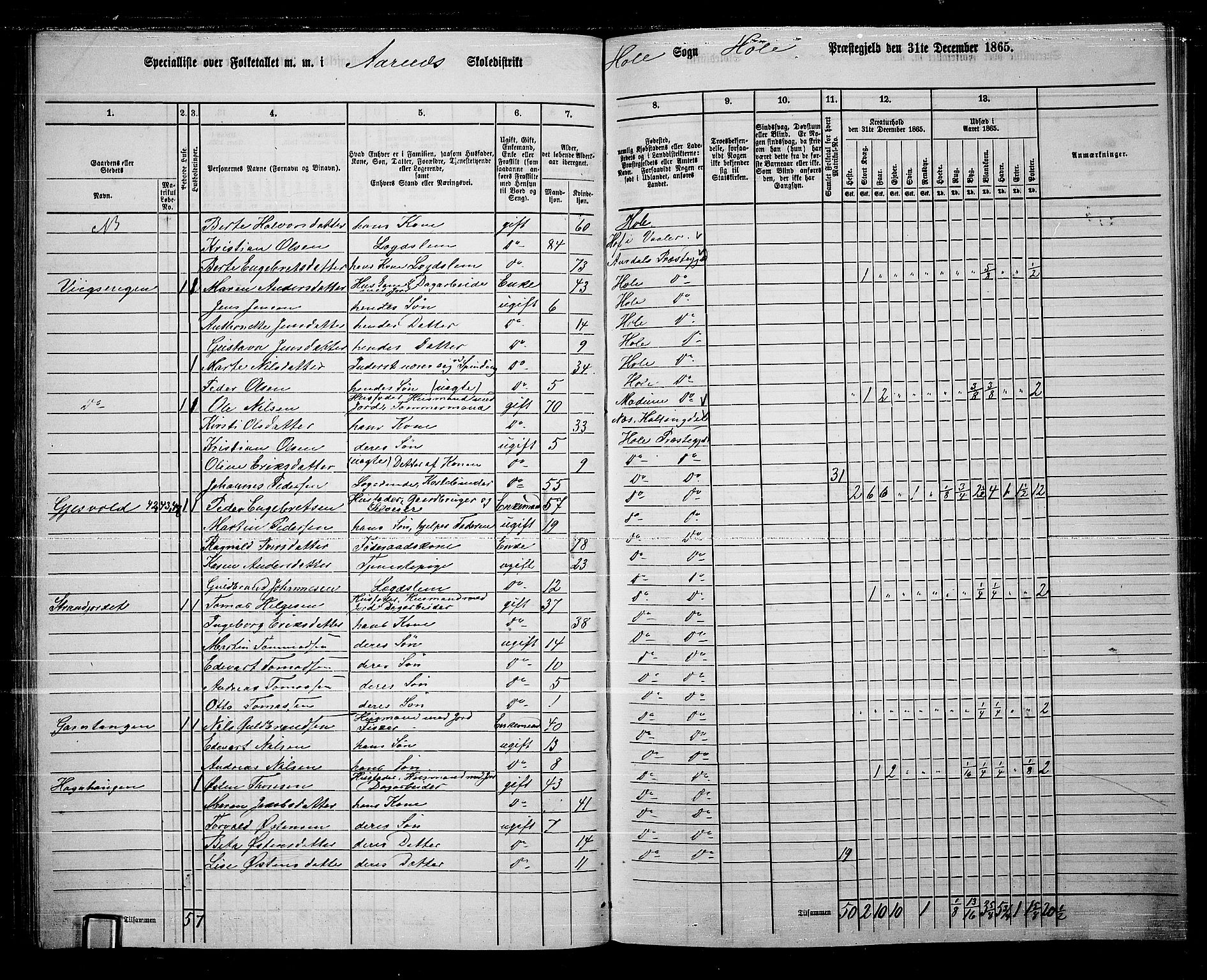 RA, 1865 census for Hole, 1865, p. 40