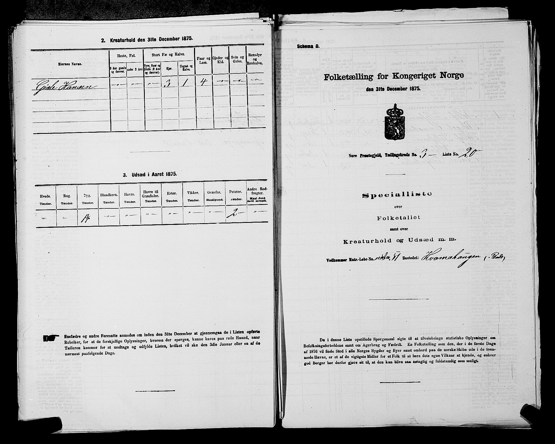 SAKO, 1875 census for 0633P Nore, 1875, p. 416