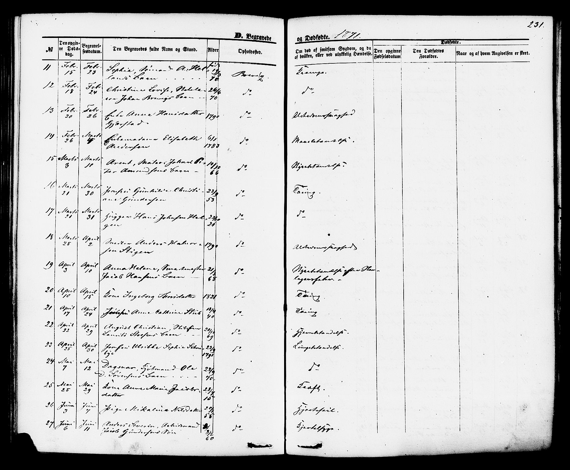 Brevik kirkebøker, SAKO/A-255/F/Fa/L0006: Parish register (official) no. 6, 1866-1881, p. 231