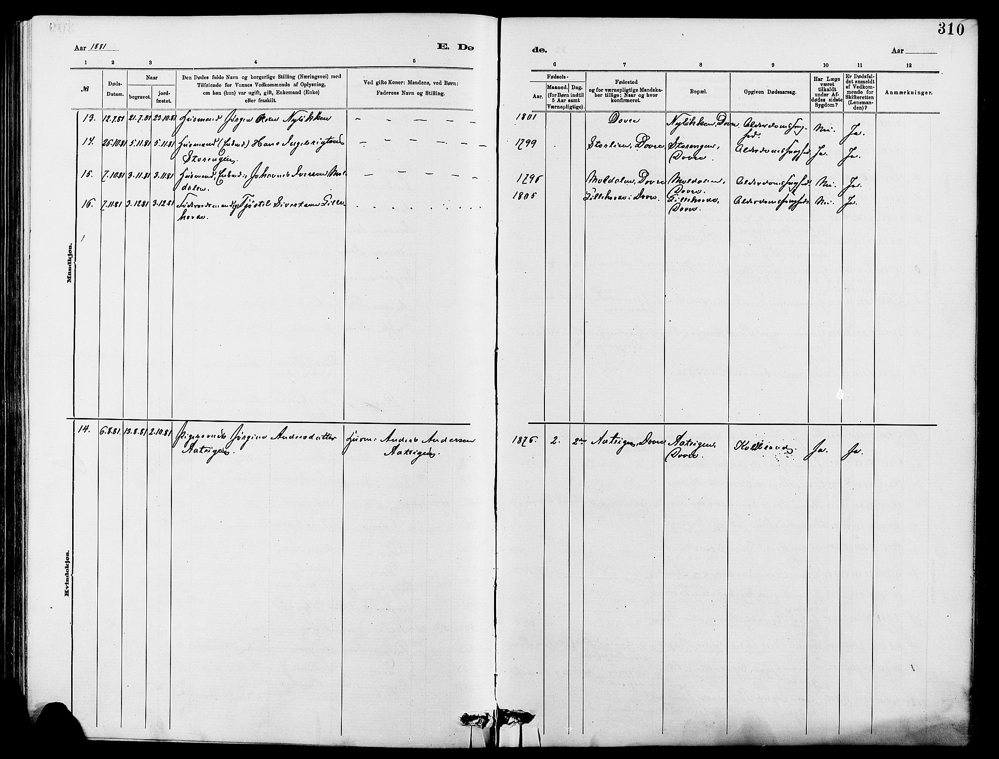 Dovre prestekontor, SAH/PREST-066/H/Ha/Hab/L0002: Parish register (copy) no. 2, 1881-1907, p. 310