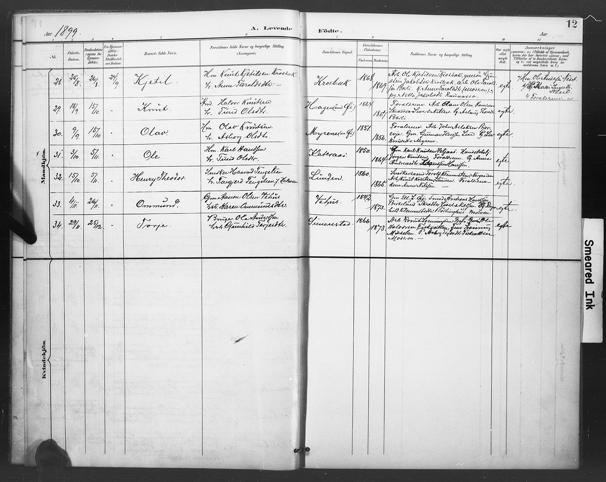 Åmli sokneprestkontor, SAK/1111-0050/F/Fa/Fac/L0011: Parish register (official) no. A 11, 1898-1899, p. 12