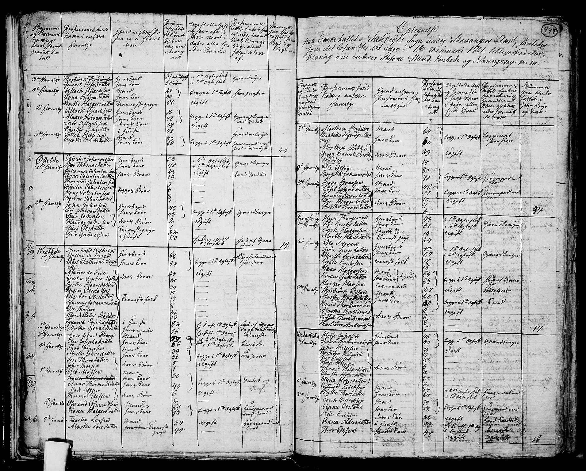 RA, 1801 census for 1157P Vikedal, 1801, p. 446b-447a
