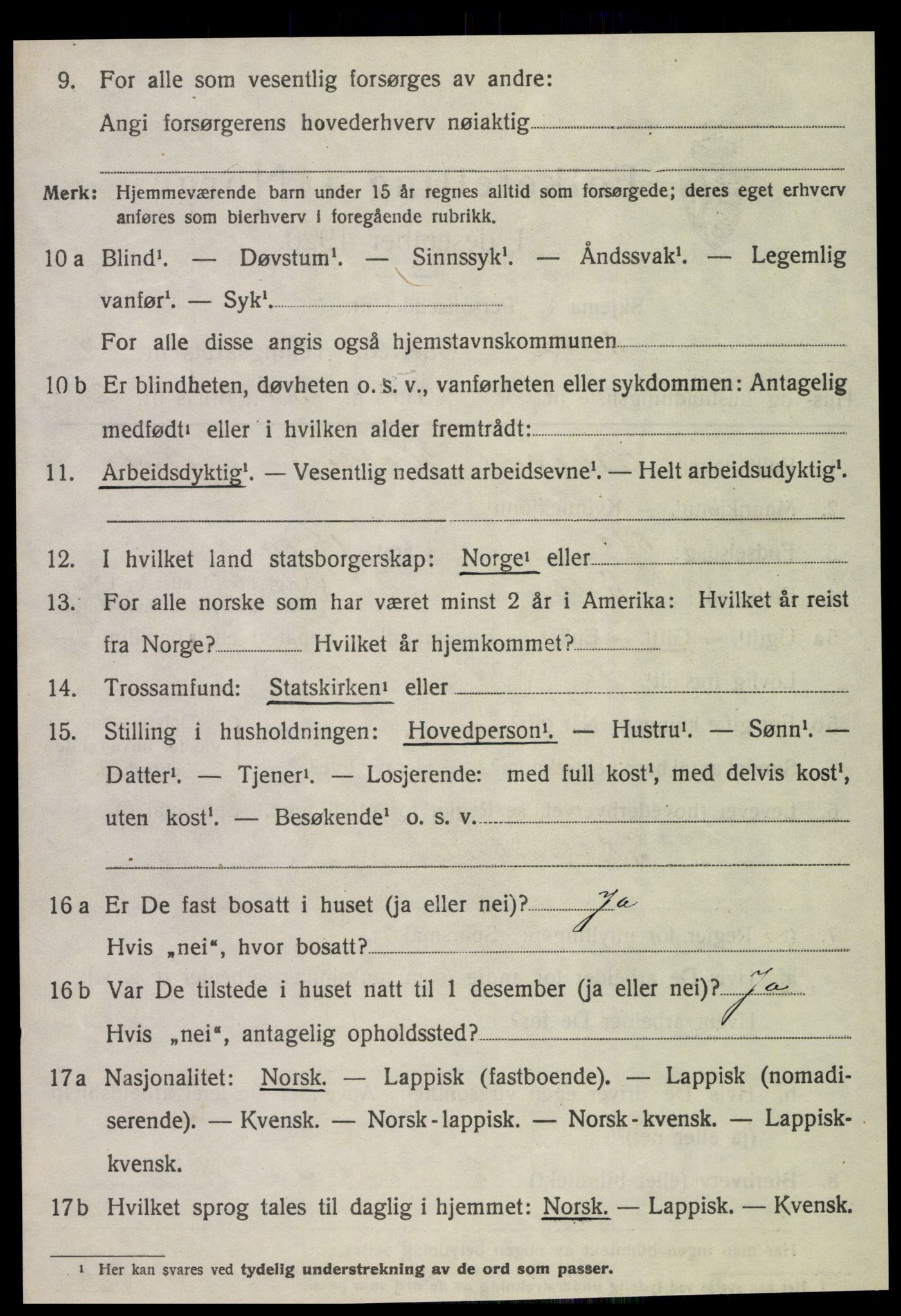 SAT, 1920 census for Selbu, 1920, p. 10195