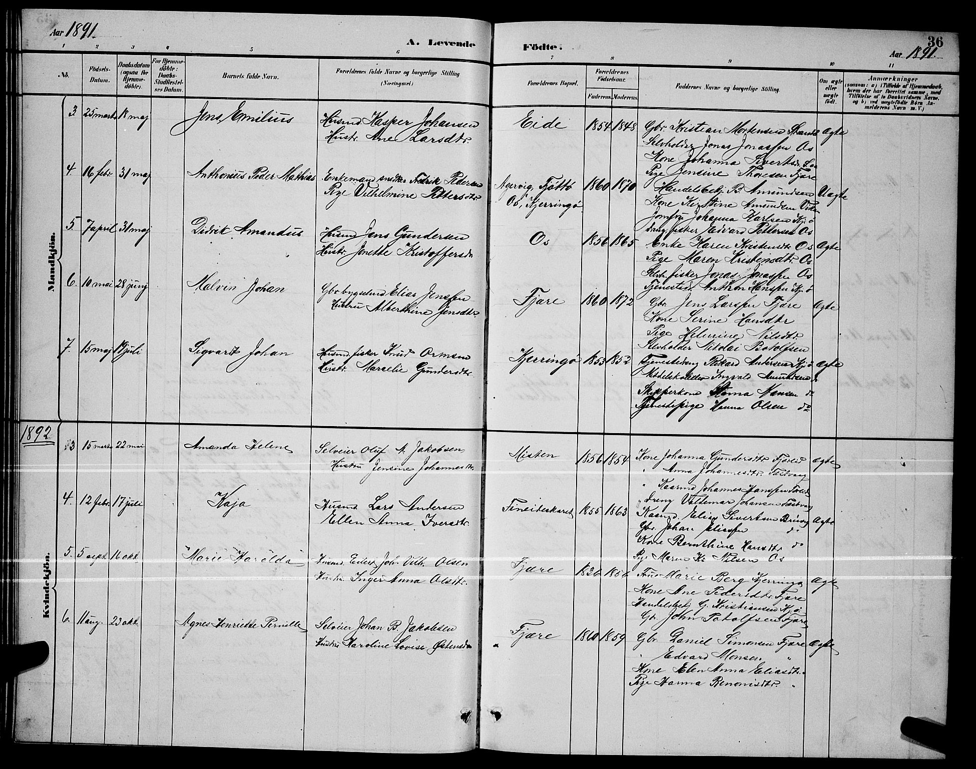 Ministerialprotokoller, klokkerbøker og fødselsregistre - Nordland, SAT/A-1459/803/L0076: Parish register (copy) no. 803C03, 1882-1897, p. 36