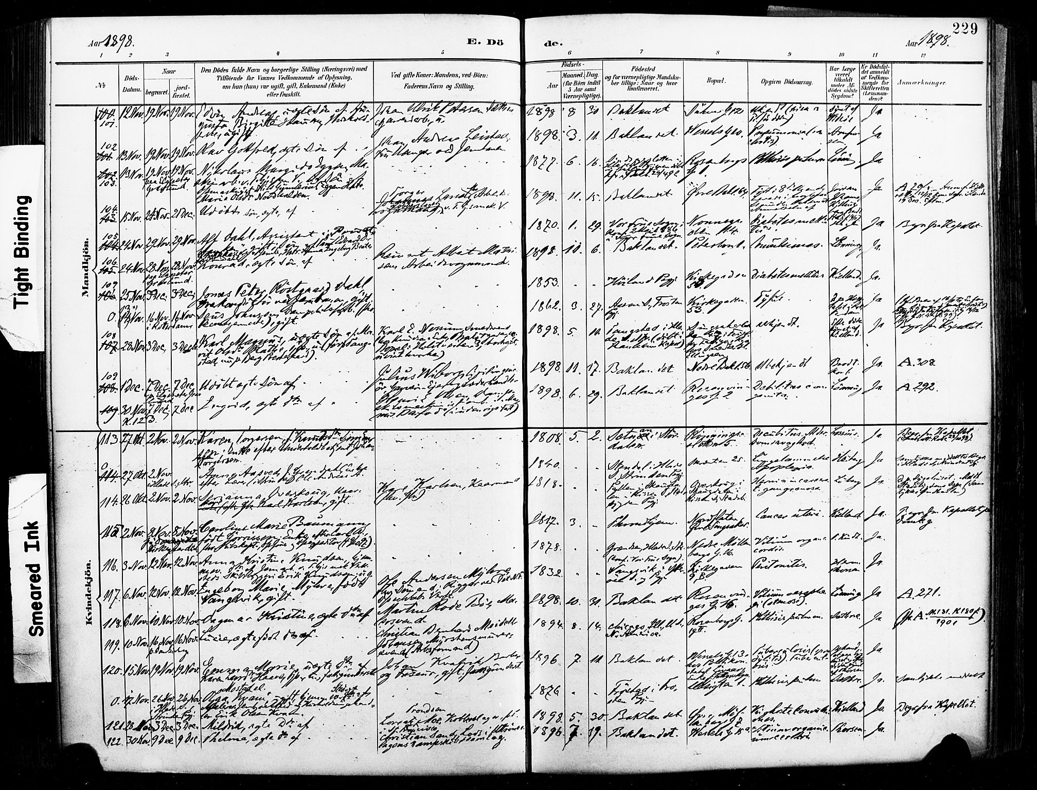 Ministerialprotokoller, klokkerbøker og fødselsregistre - Sør-Trøndelag, AV/SAT-A-1456/604/L0198: Parish register (official) no. 604A19, 1893-1900, p. 229