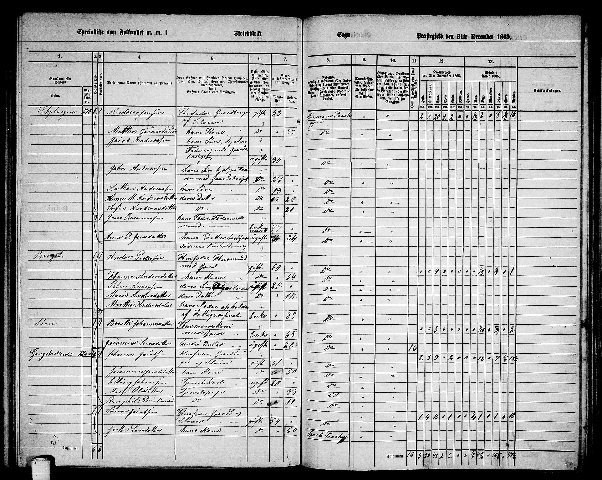 RA, 1865 census for Inderøy, 1865, p. 156