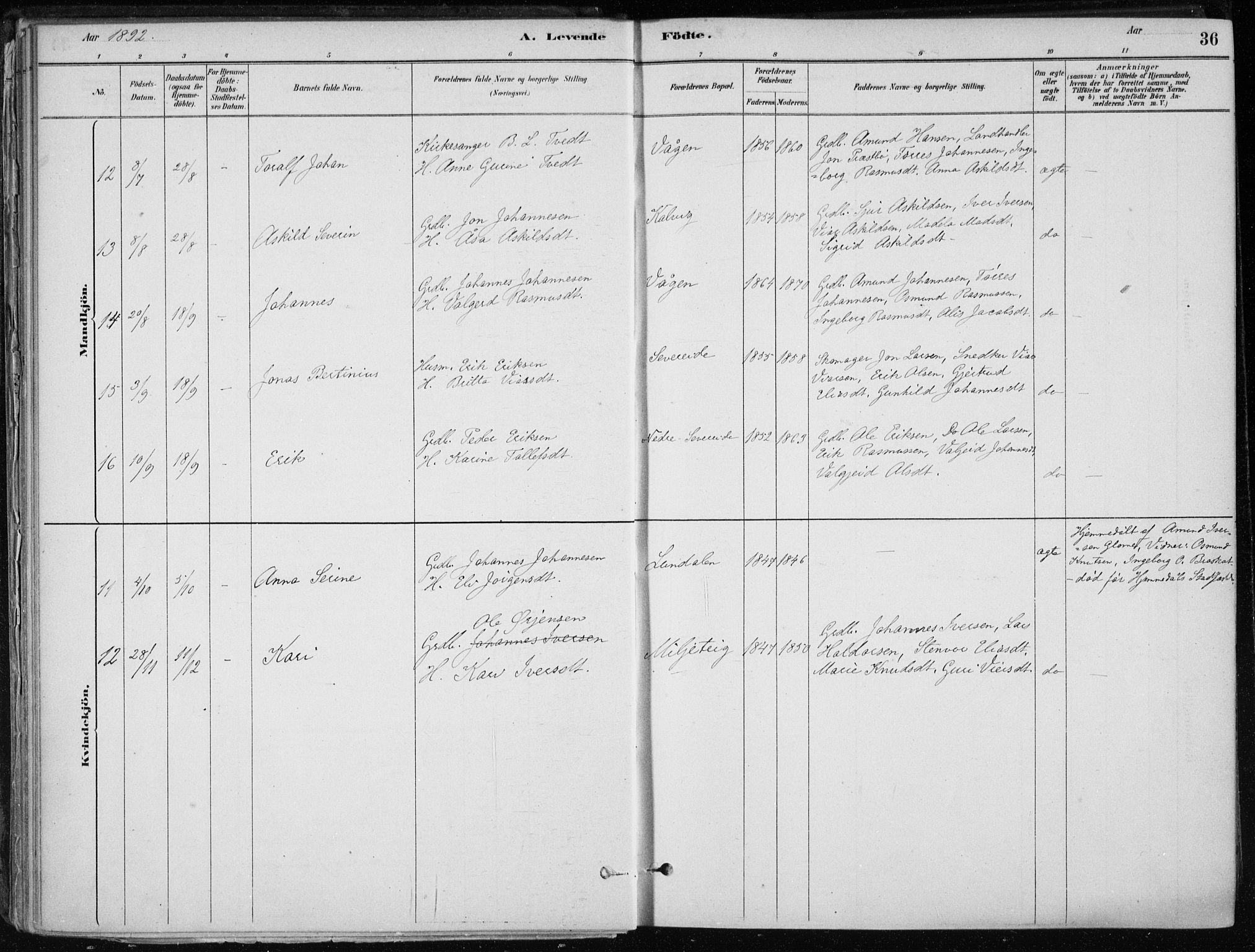 Skånevik sokneprestembete, AV/SAB-A-77801/H/Haa: Parish register (official) no. E  1, 1879-1901, p. 36