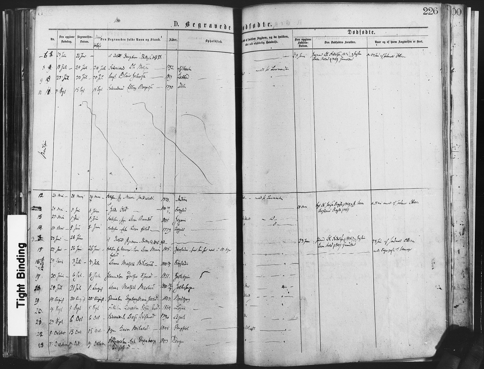 Nannestad prestekontor Kirkebøker, AV/SAO-A-10414a/F/Fa/L0013: Parish register (official) no. I 13, 1873-1880, p. 226