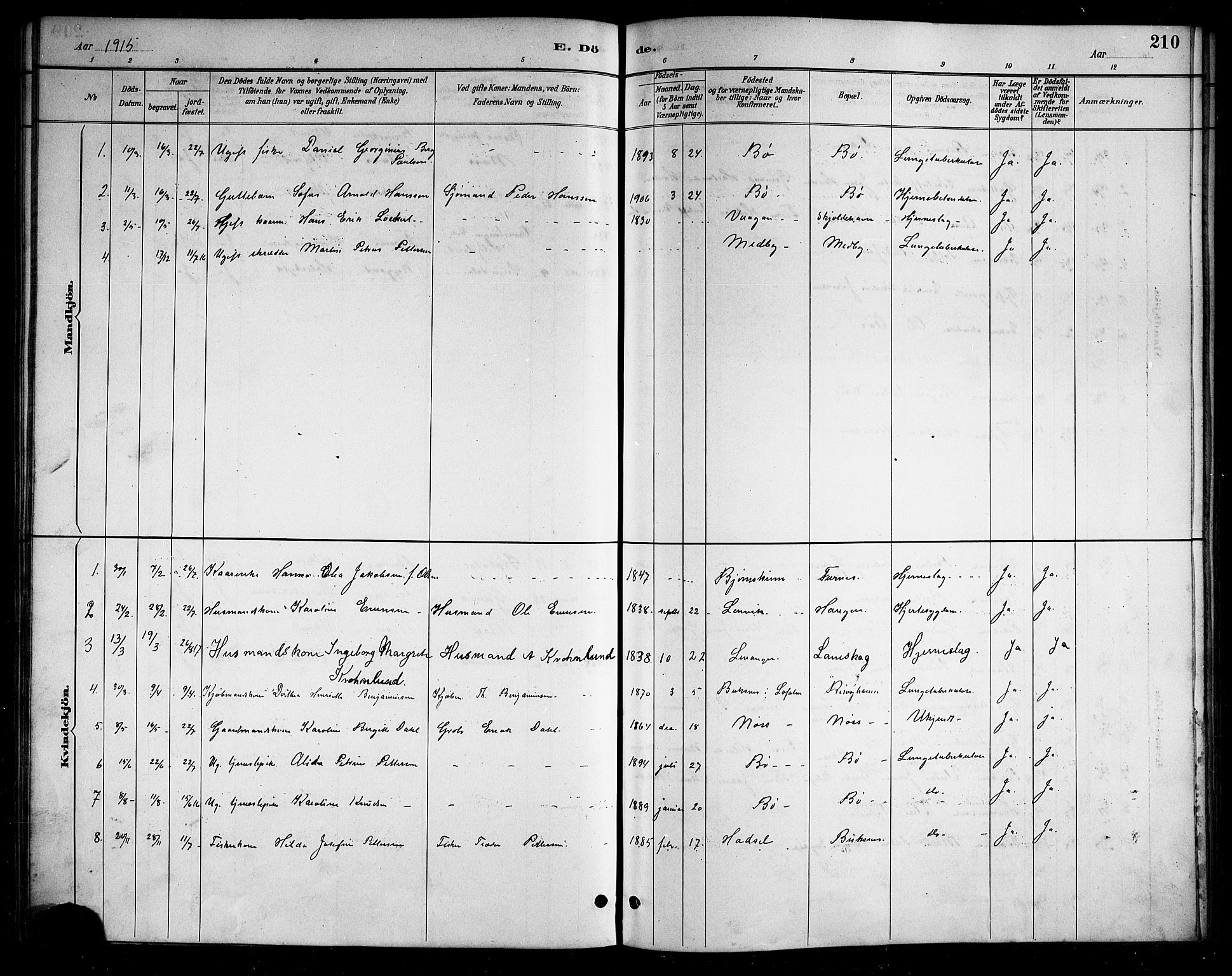 Ministerialprotokoller, klokkerbøker og fødselsregistre - Nordland, AV/SAT-A-1459/898/L1427: Parish register (copy) no. 898C02, 1887-1917, p. 210