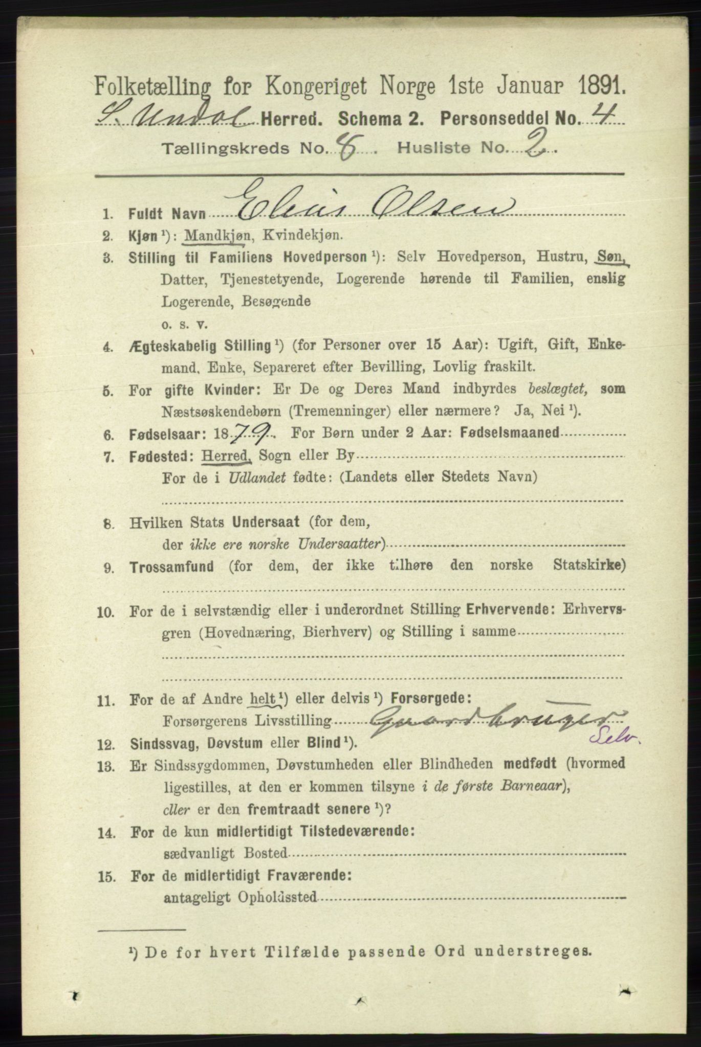 RA, 1891 census for 1029 Sør-Audnedal, 1891, p. 3118