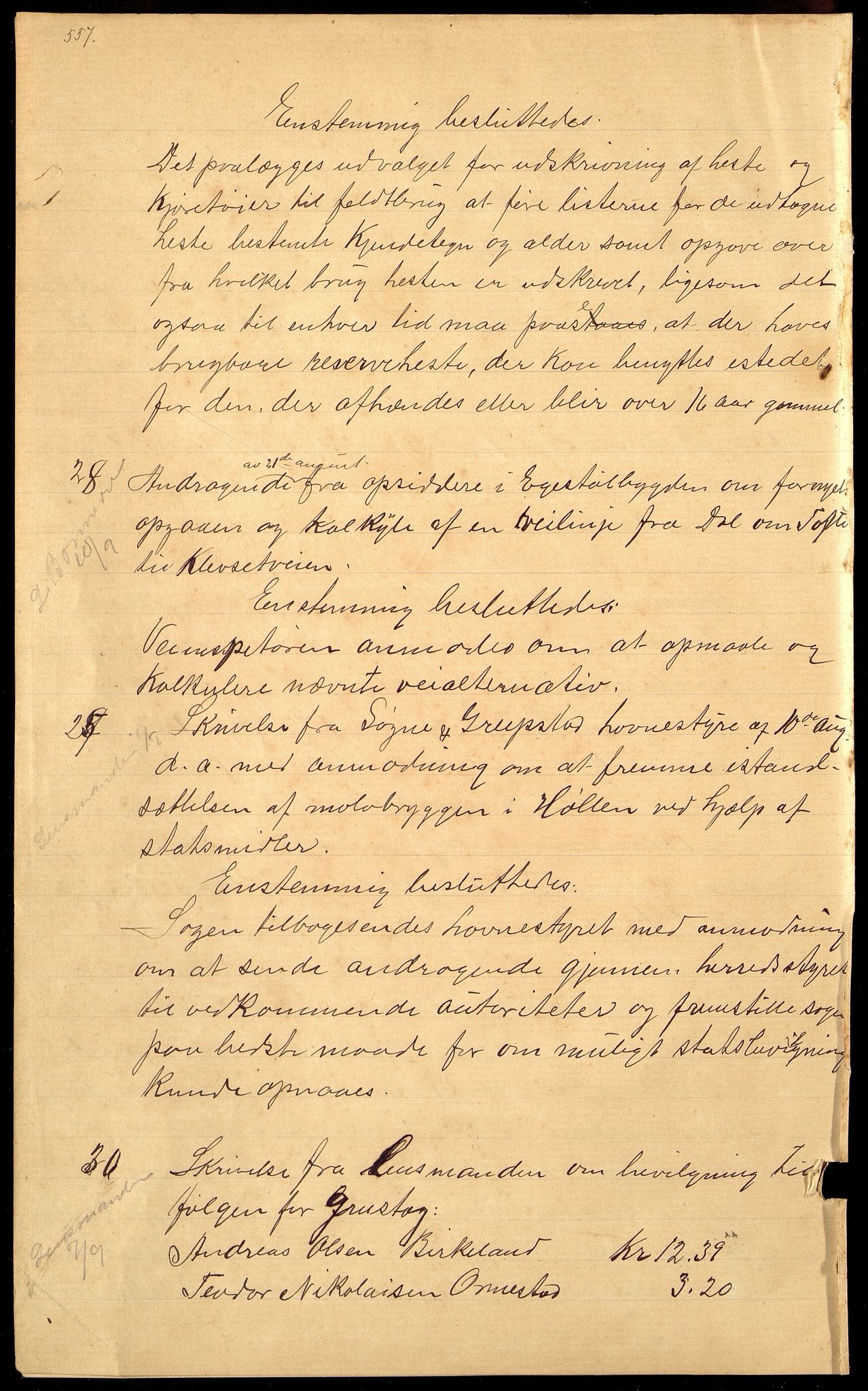 Søgne og Greipstad kommune - Formannskapet, IKAV/1018SG120/A/L0006: Møtebok (d), 1901-1909, p. 557 (dupl)