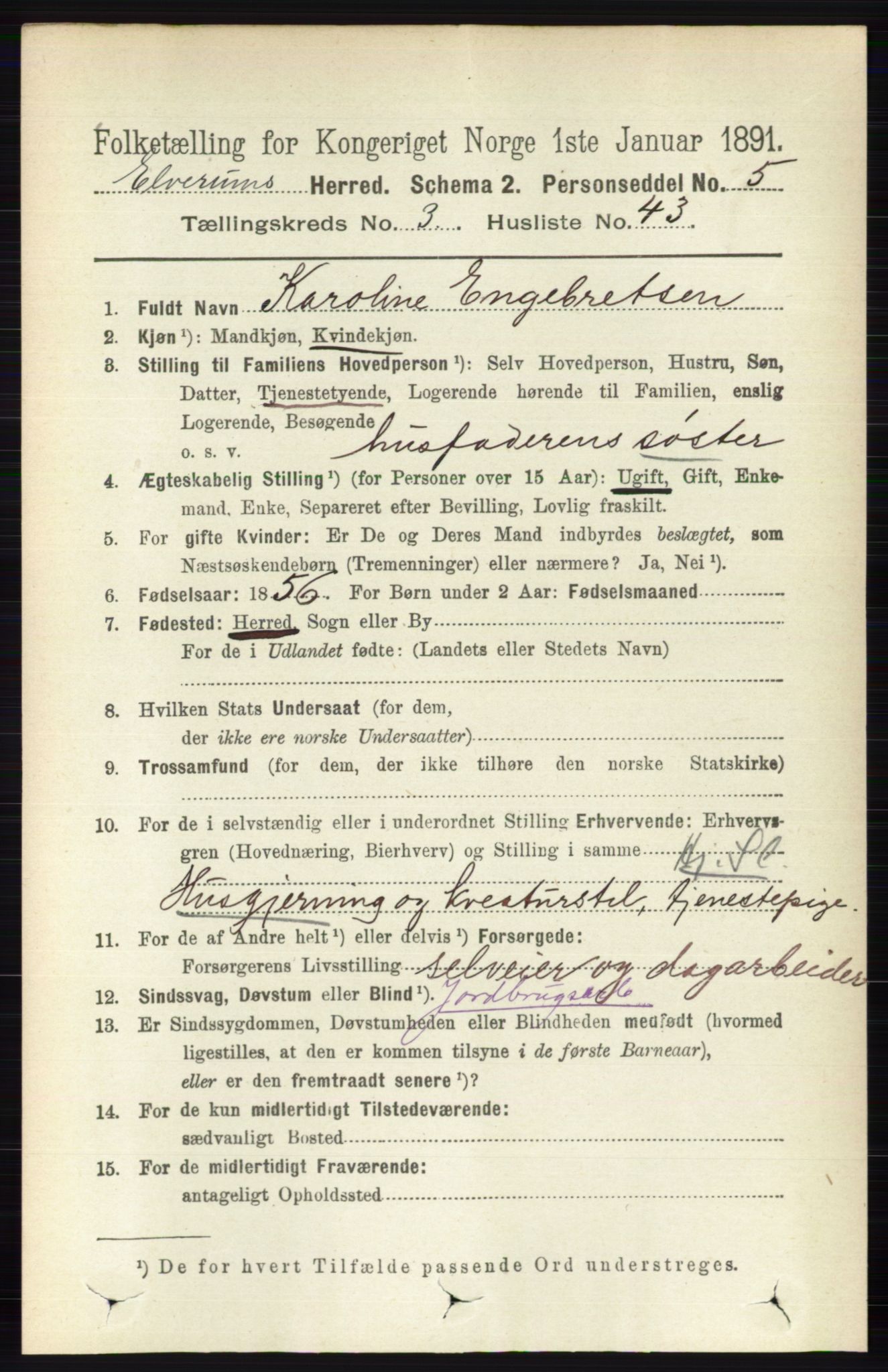 RA, 1891 census for 0427 Elverum, 1891, p. 2119