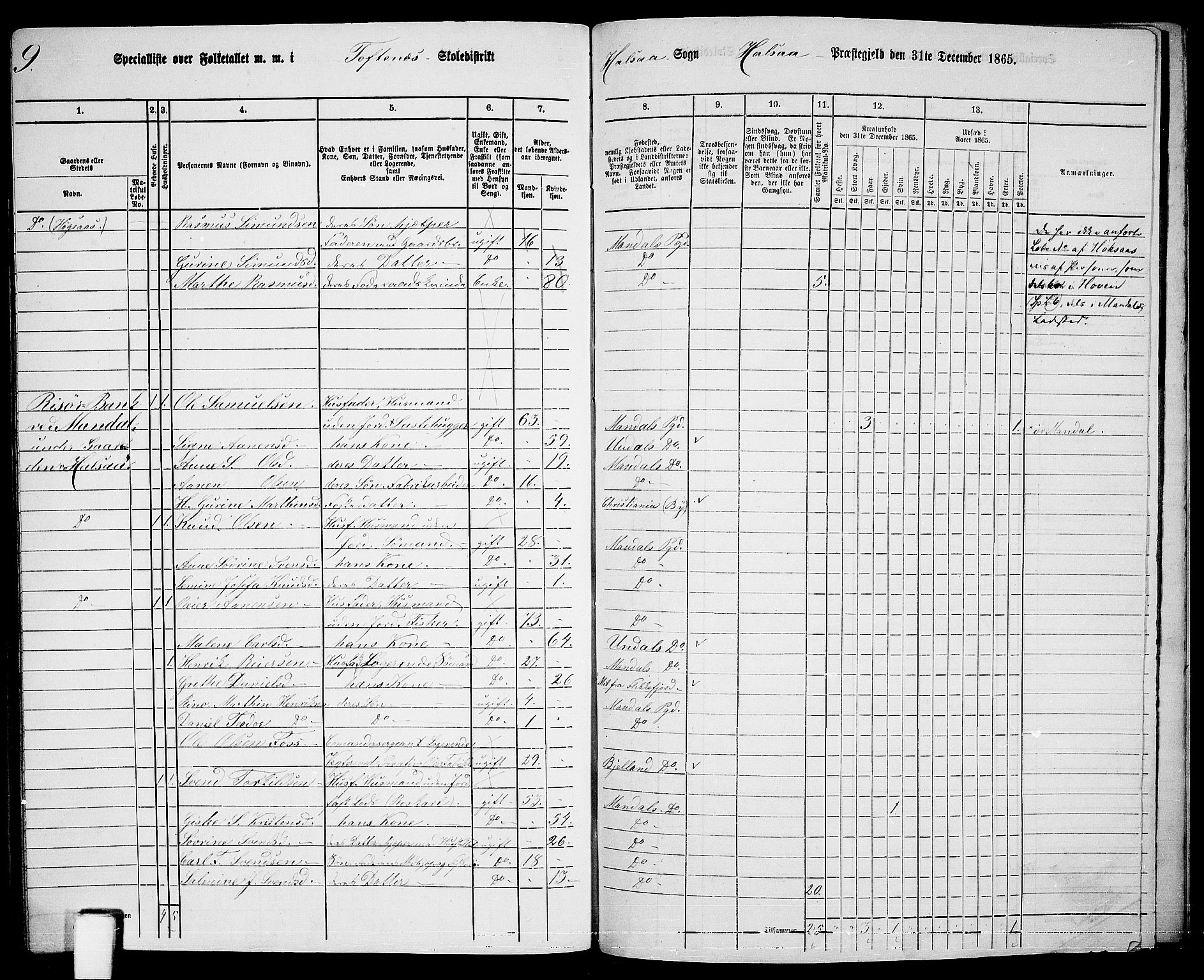 RA, 1865 census for Mandal/Halse og Harkmark, 1865, p. 118