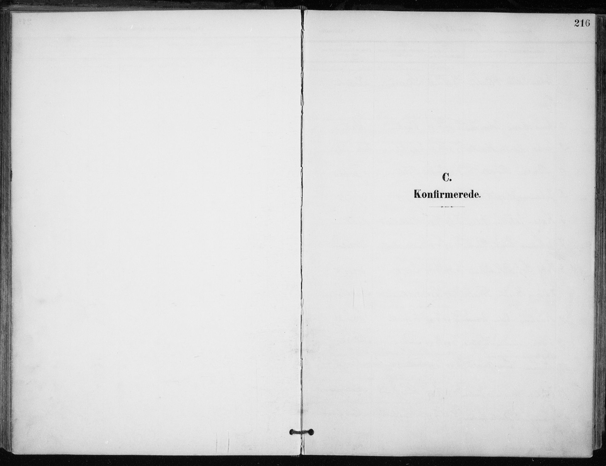 Trondenes sokneprestkontor, SATØ/S-1319/H/Ha/L0017kirke: Parish register (official) no. 17, 1899-1908, p. 216