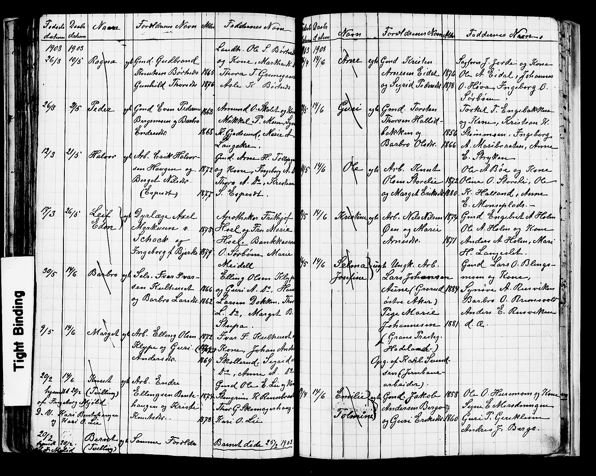 Nes kirkebøker, AV/SAKO-A-236/G/Ga/L0003: Parish register (copy) no. I 3, 1889-1909