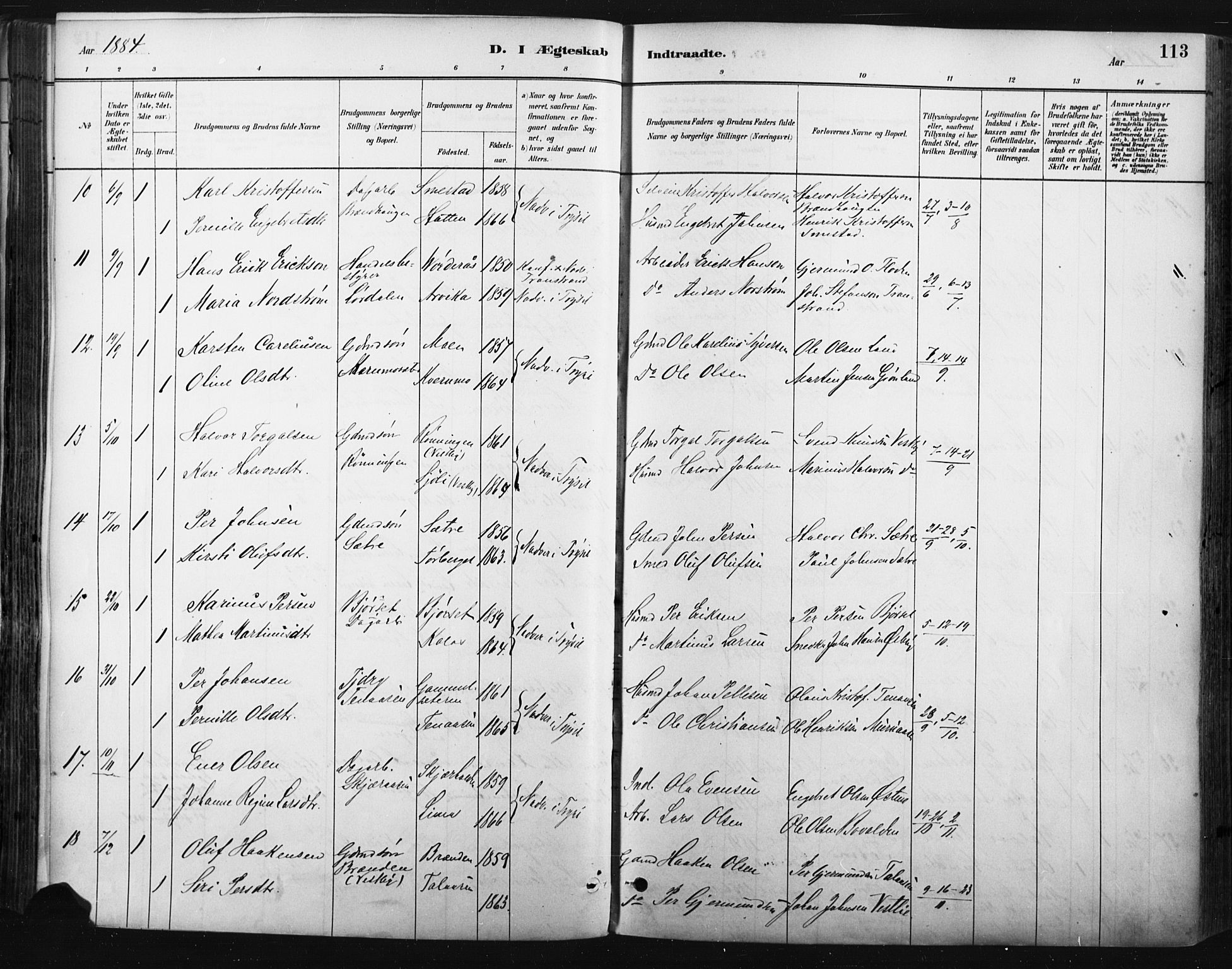 Trysil prestekontor, SAH/PREST-046/H/Ha/Haa/L0009: Parish register (official) no. 9, 1881-1897, p. 113