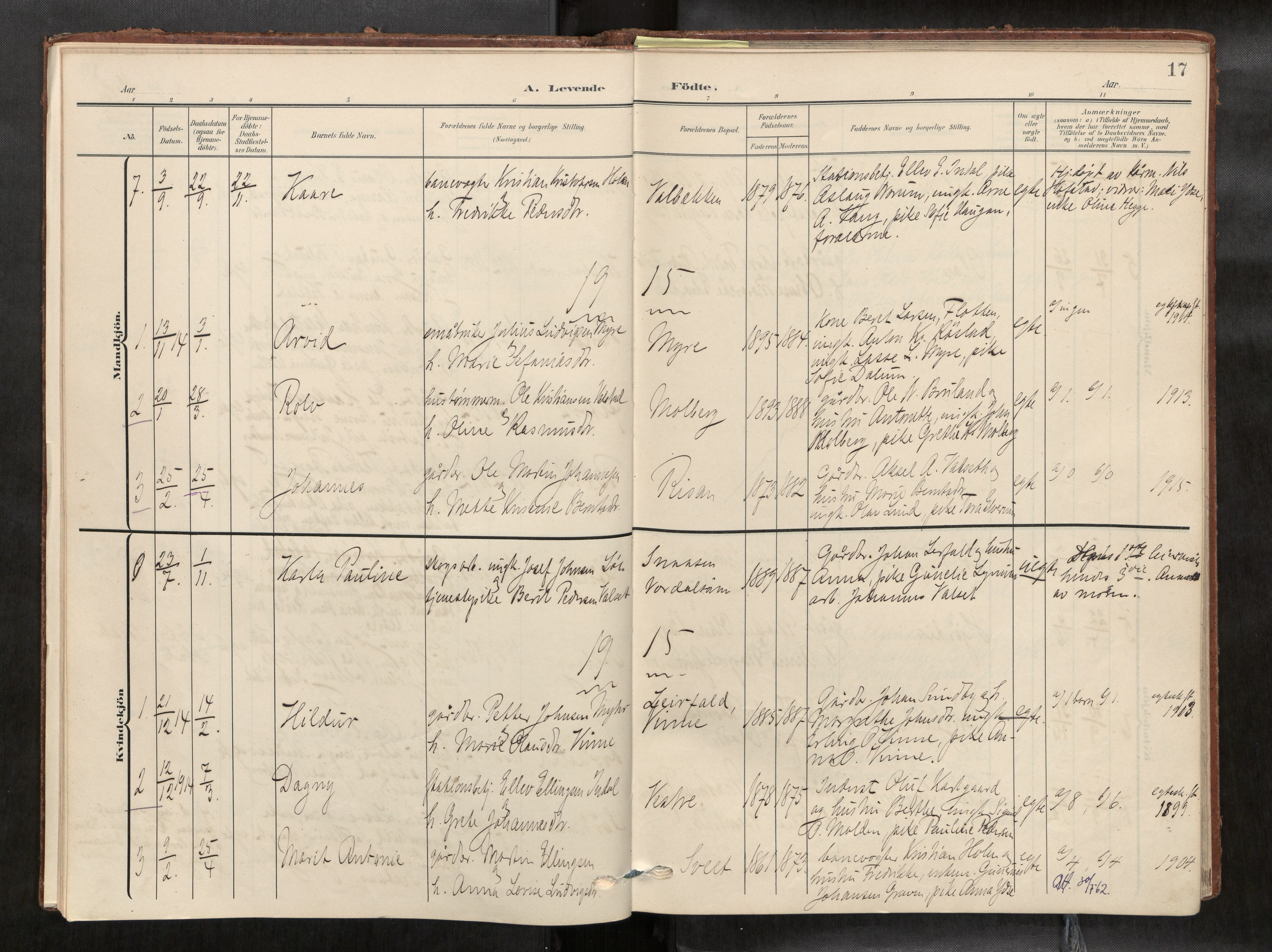 Verdal sokneprestkontor, SAT/A-1156/2/H/Haa/L0003: Parish register (official) no. 3, 1907-1921, p. 17