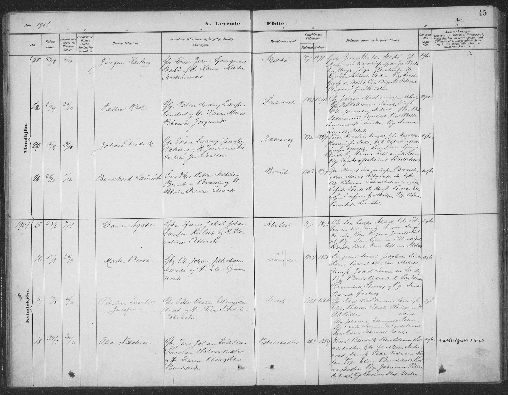 Ministerialprotokoller, klokkerbøker og fødselsregistre - Møre og Romsdal, AV/SAT-A-1454/522/L0316: Parish register (official) no. 522A11, 1890-1911, p. 45